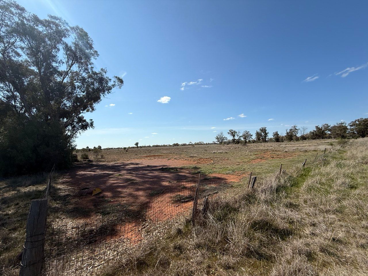 44 Dows Lane, Peak Hill, NSW 2869