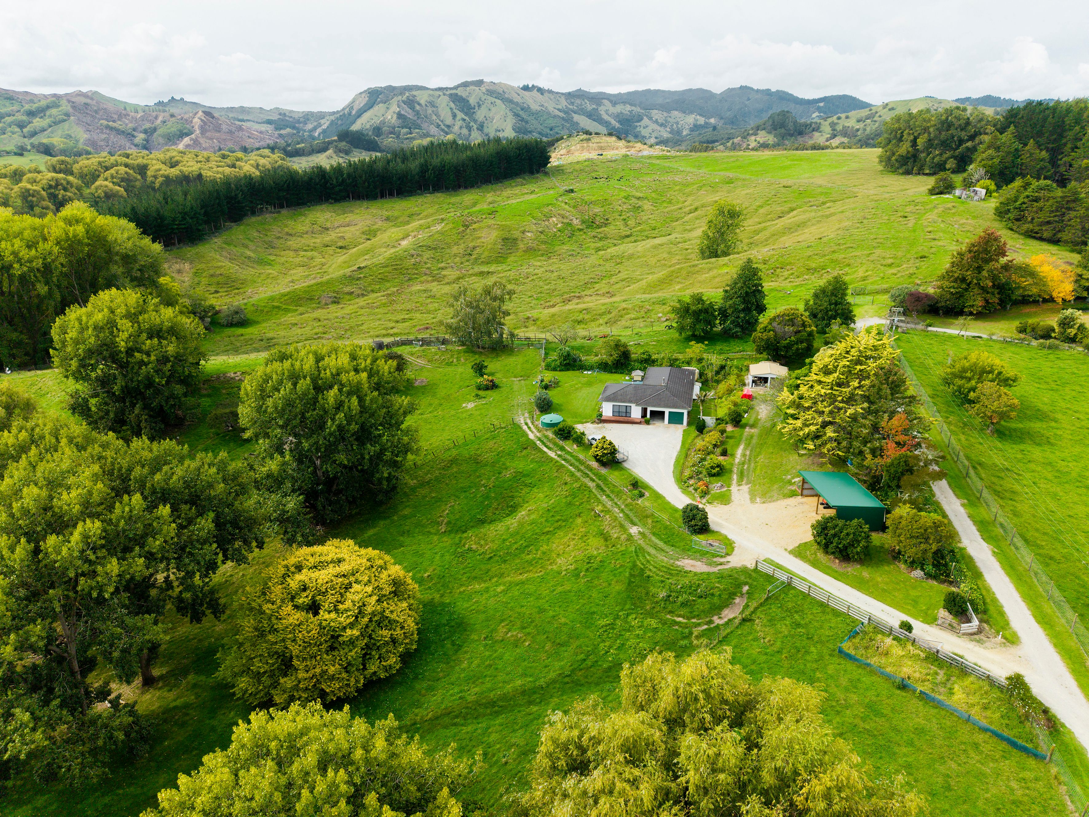 575B Back Ormond Road, Makauri, Gisborne District