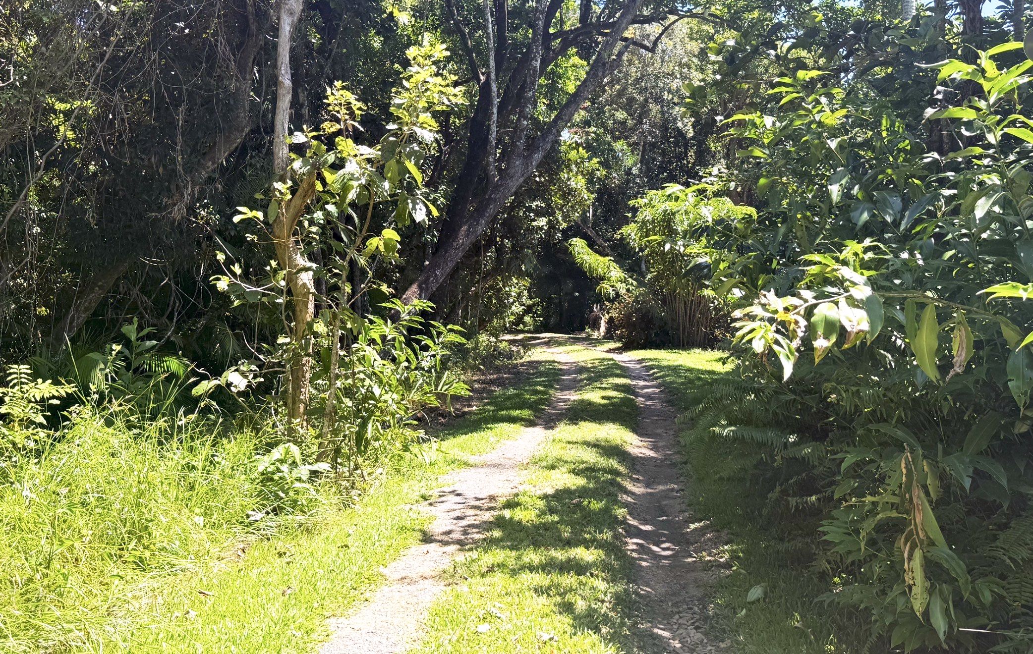 Lot 7 Garners Beach Road, Garners Beach, QLD 4852