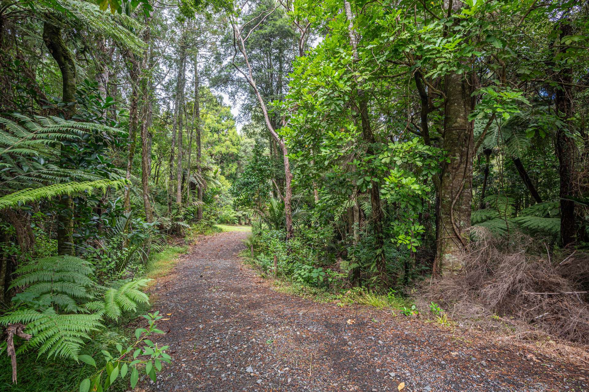 1196 Huia Road photo 46