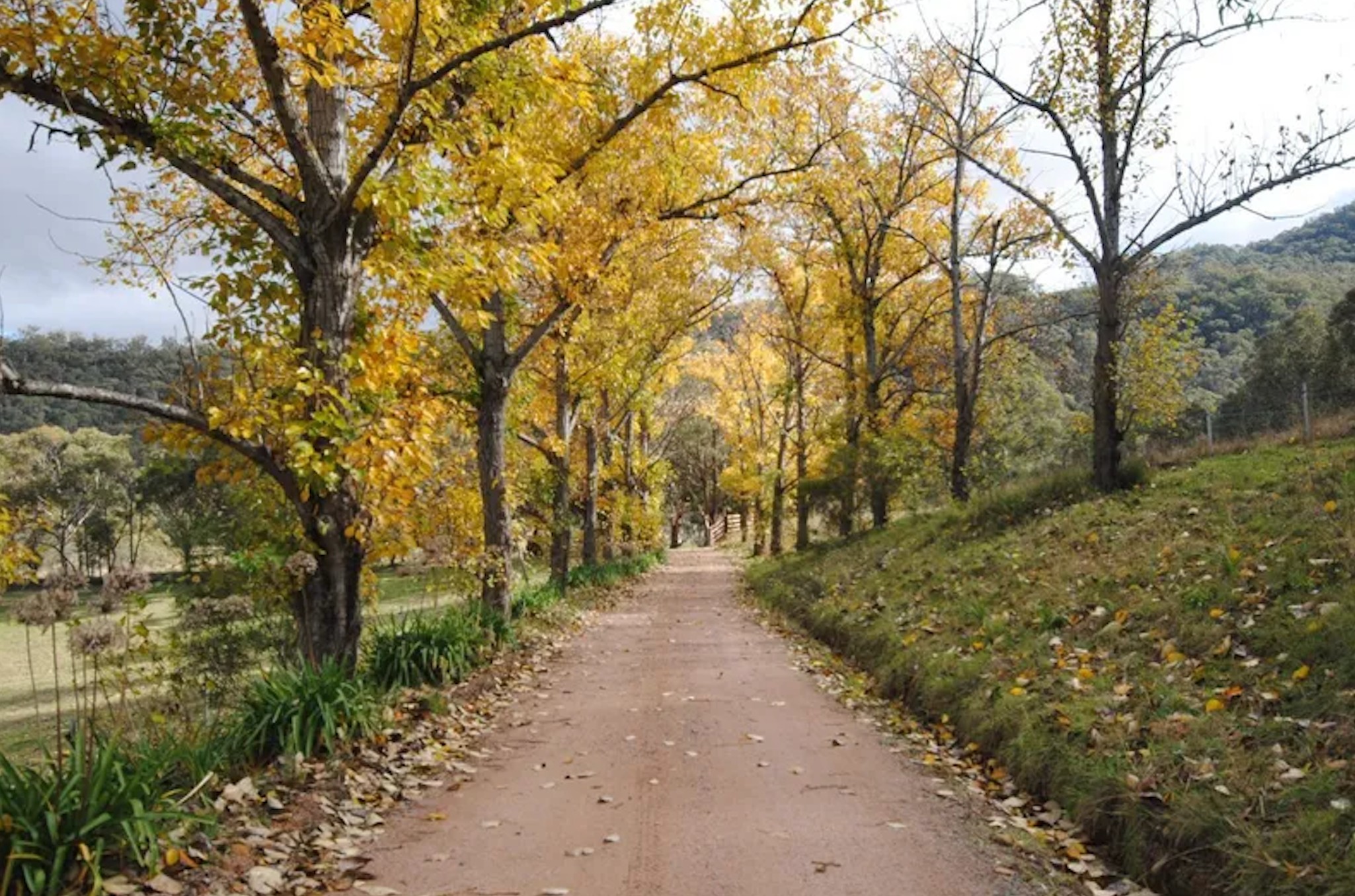 12 Mill Creek Road, Kanimbla, NSW 2790