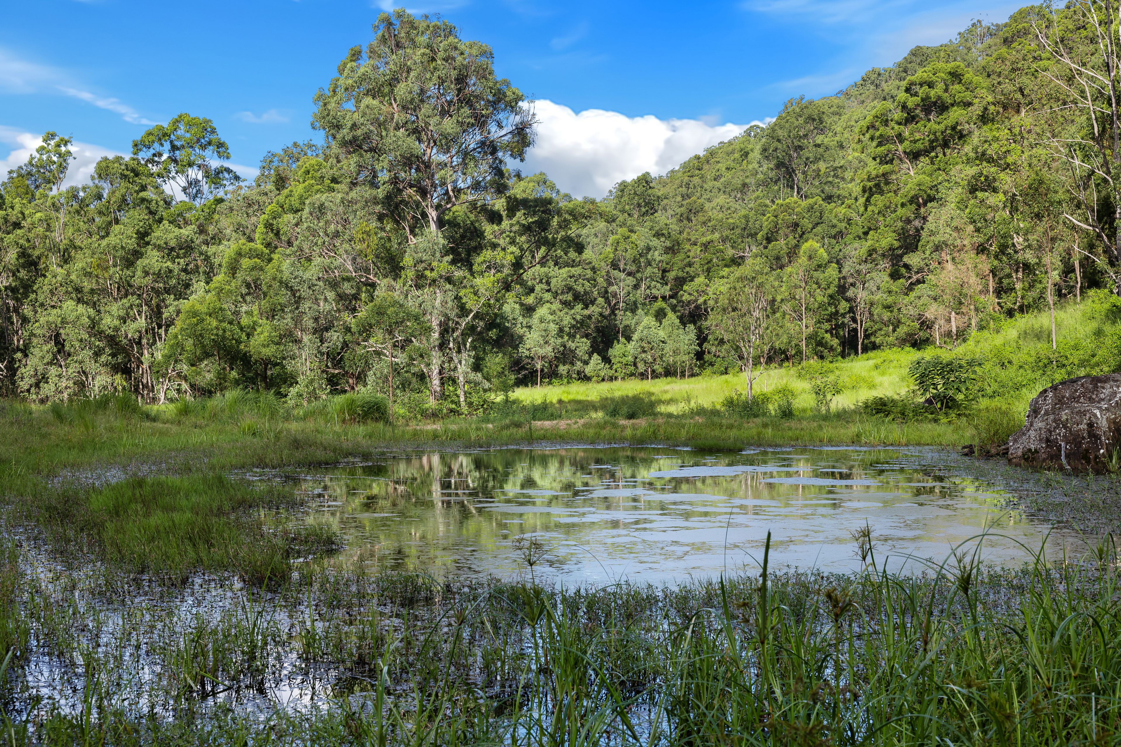 Lot 69 Duck Creek Road, Old Bonalbo, NSW 2469