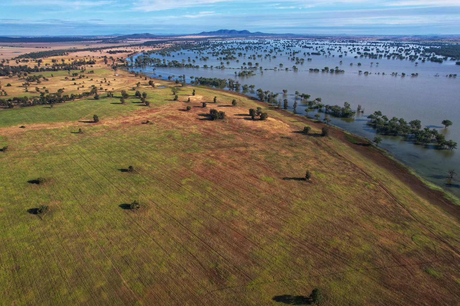 1872 Lake Cowal Road, West Wyalong, NSW 2671