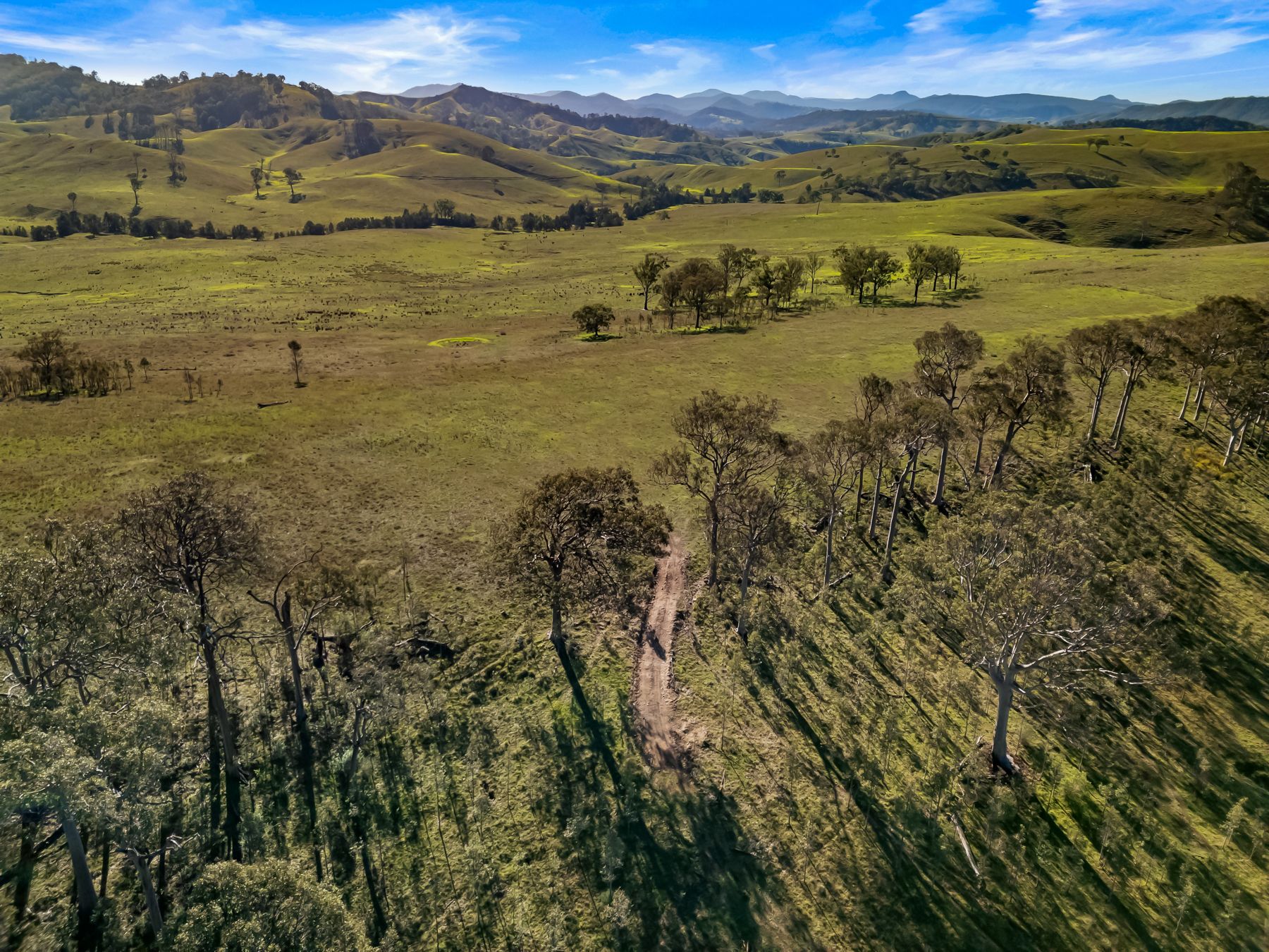 Off Goorangoola Road Greenlands — photo 10 of 19
