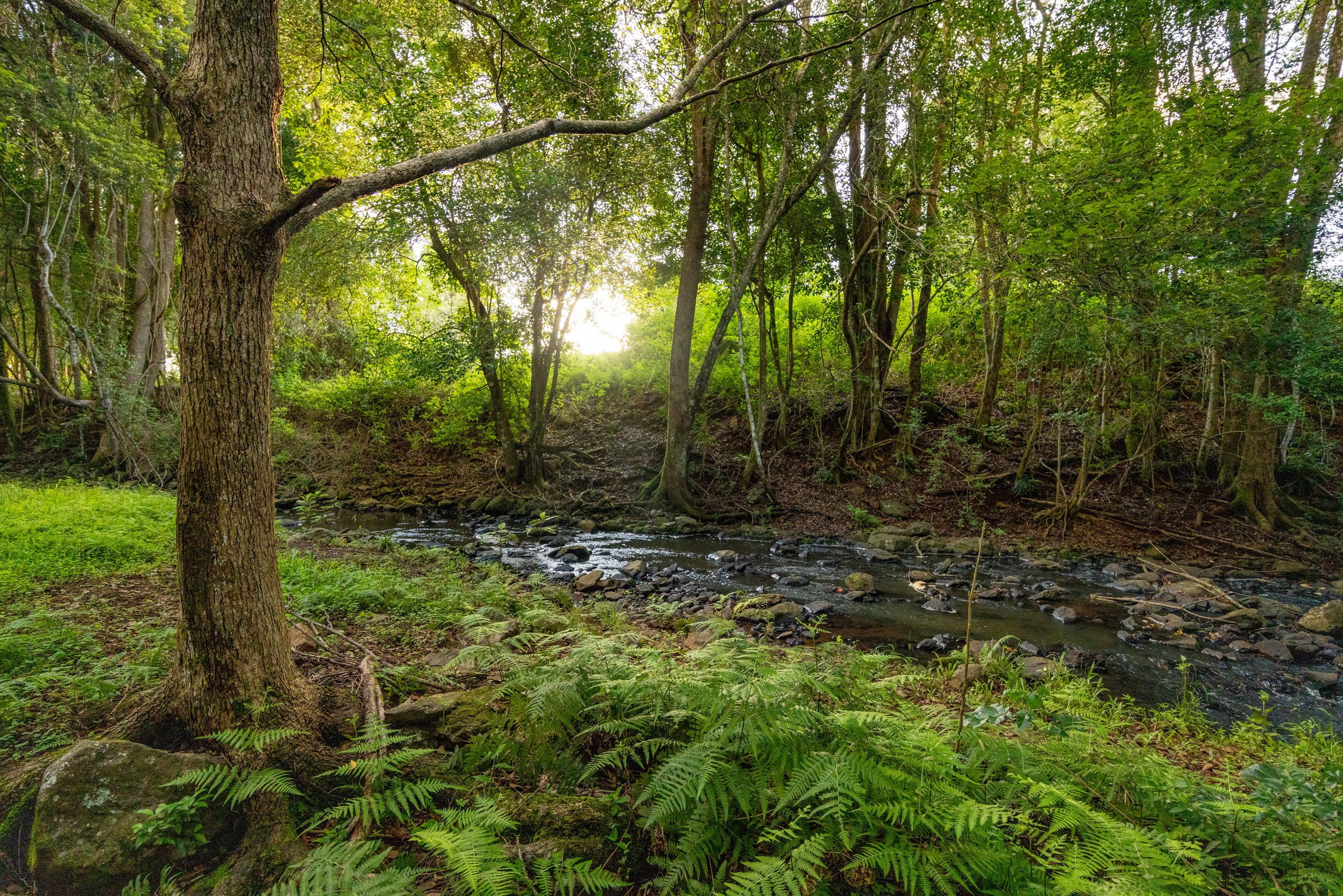 23 Ansell Road, Witta, QLD 4552