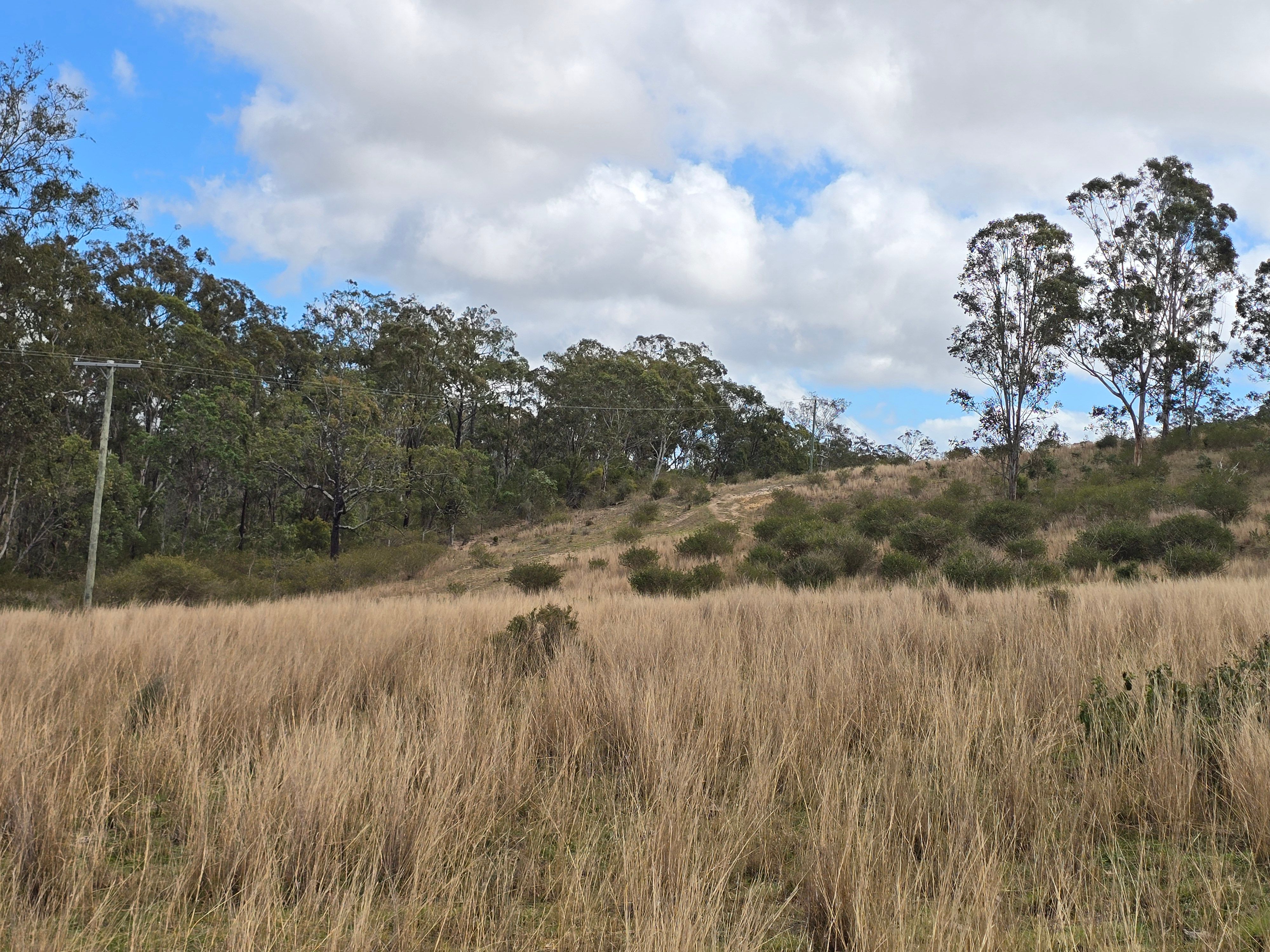 Lot 314 New England Highway — photo 9 of 14