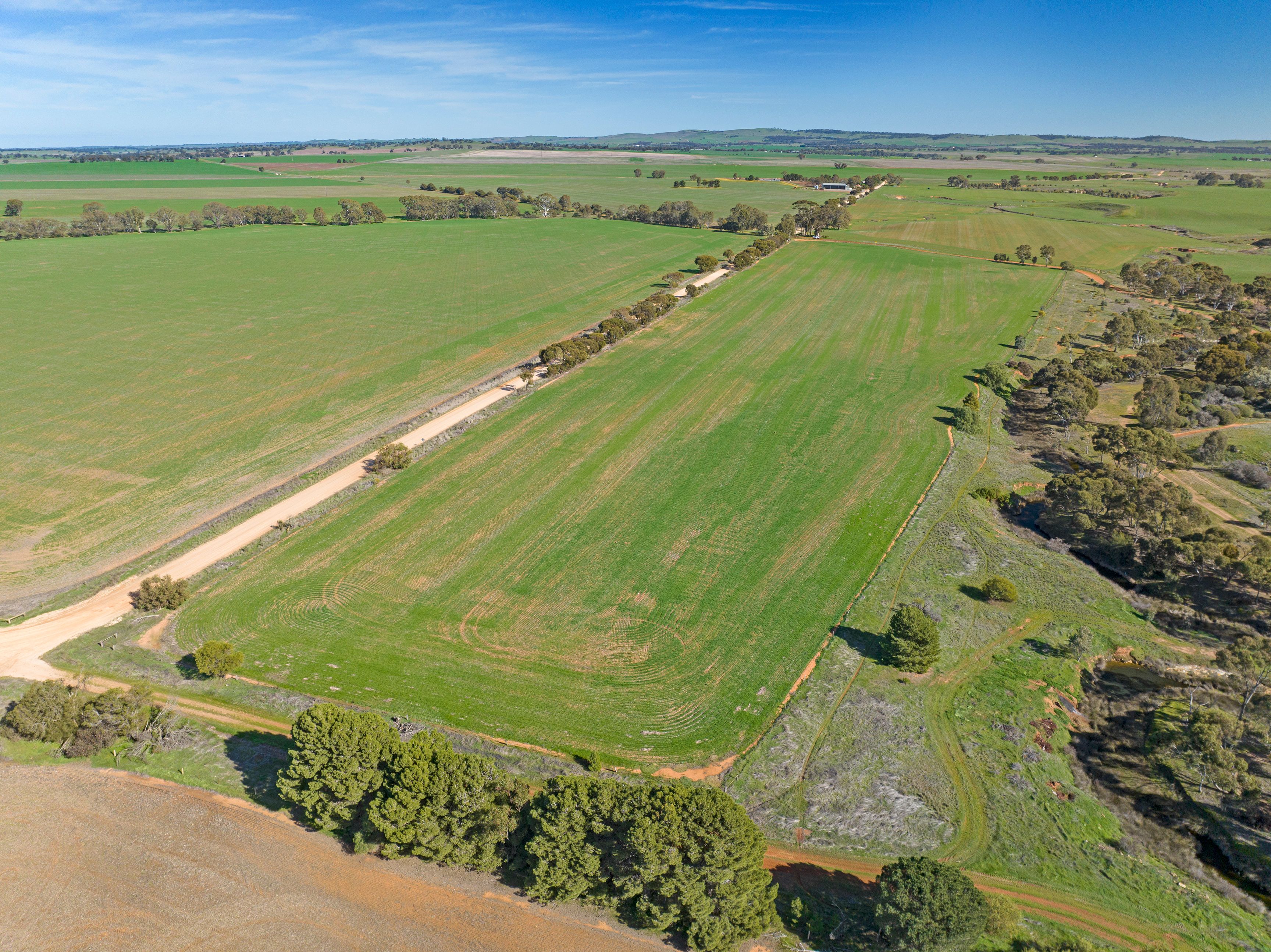 'Reserve' Riley Road, Mintaro, SA 5415 Sold Rural Cropping Property Ray White Rural South
