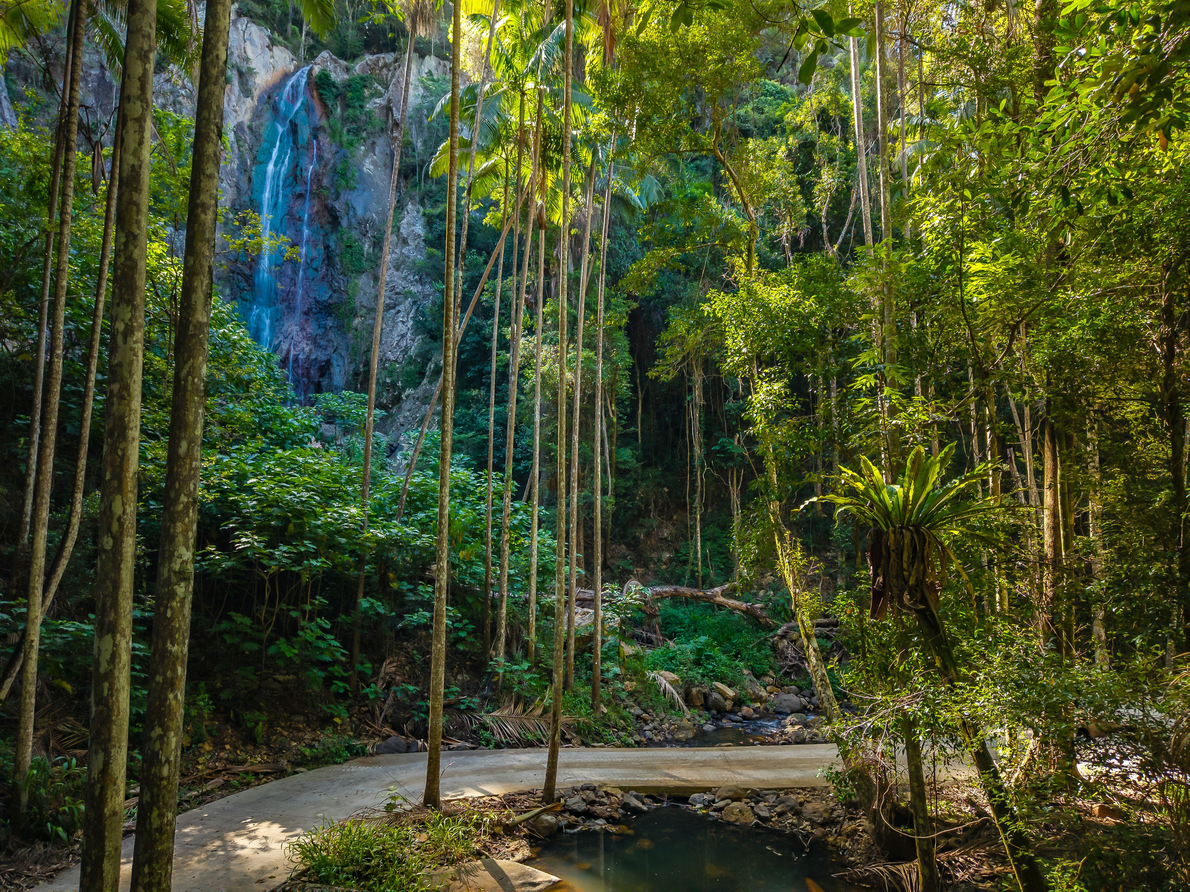 98-196 Guanaba Road — photo 19 of 26