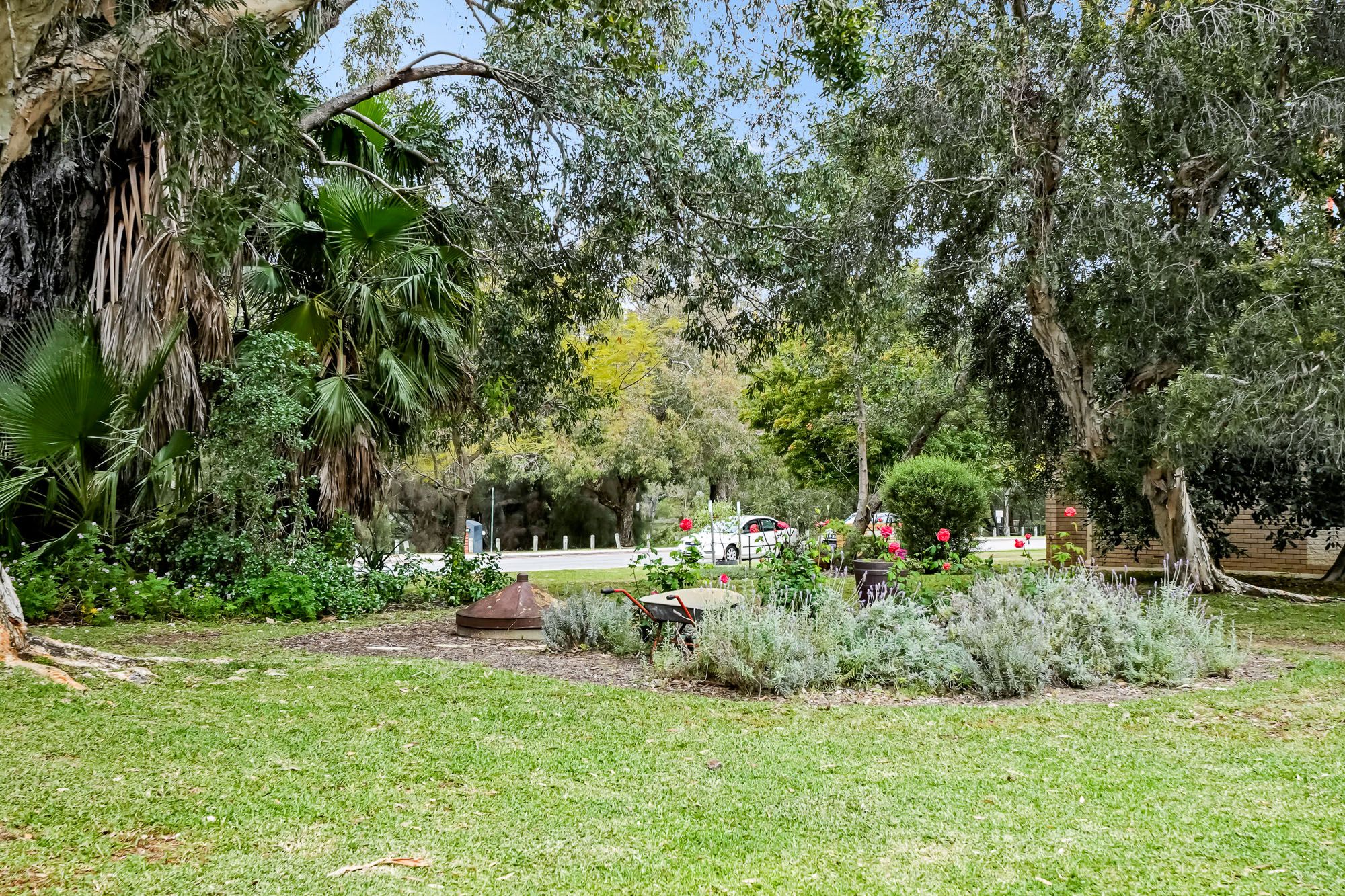 9/1 Clydesdale Street — photo 11 of 11
