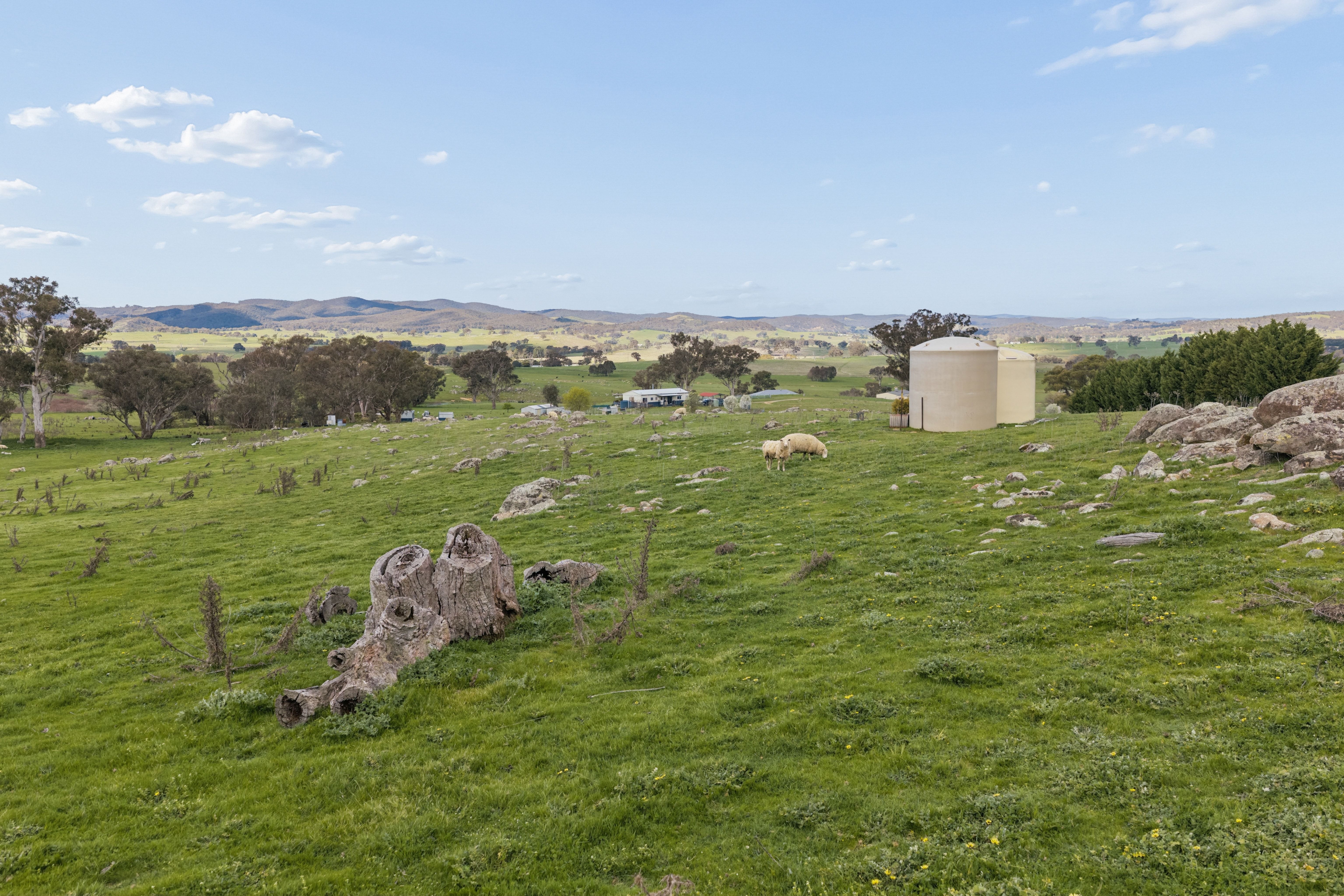 45 Triggs Close — photo 16 of 16