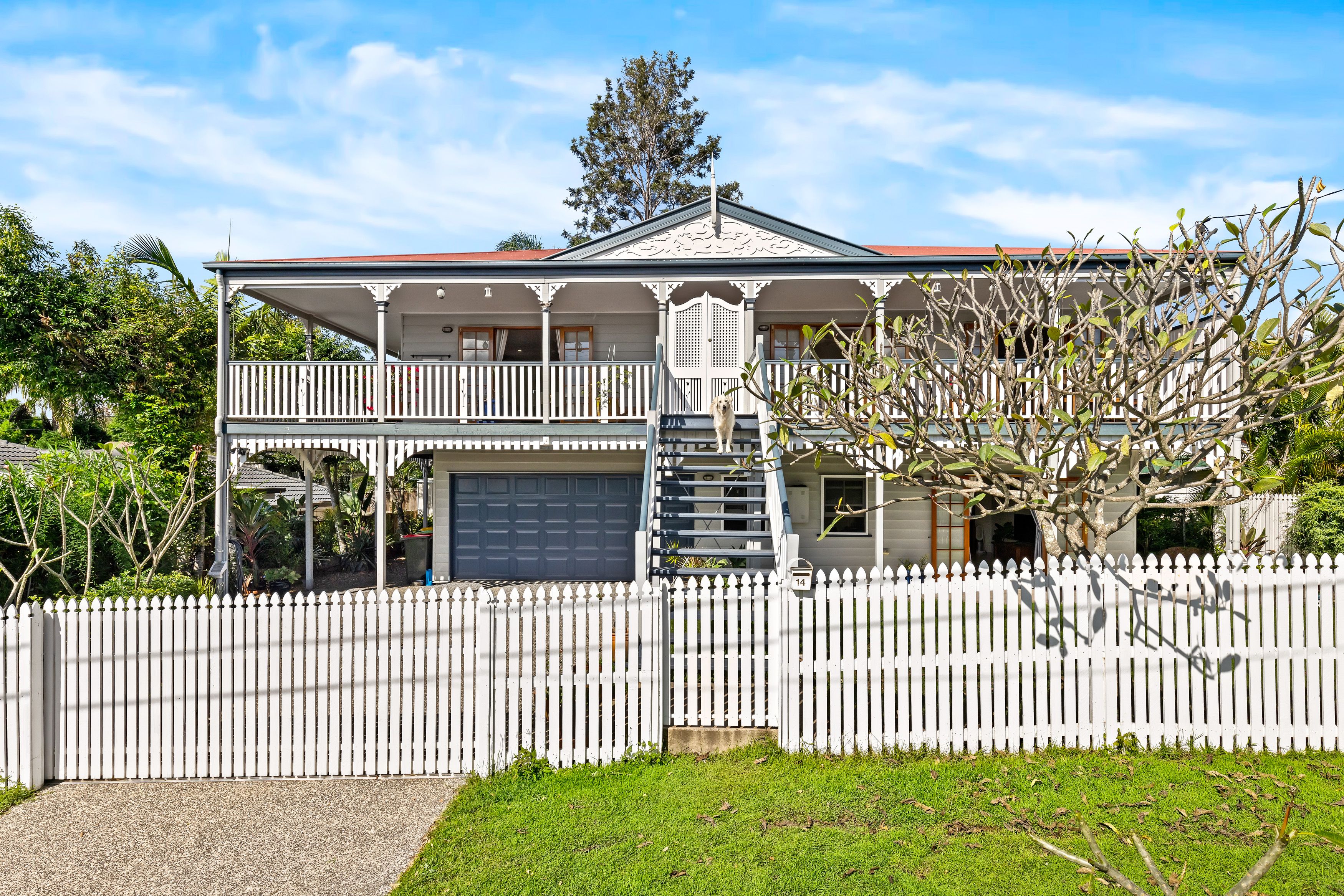14 Celia Street, Ashgrove QLD 4060