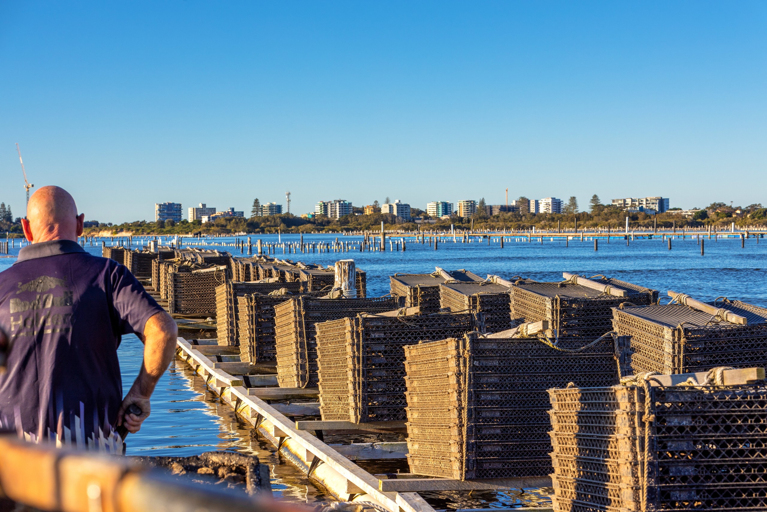 'Ralston Oysters' Godwin Island, Wallis Lake, NSW 2428