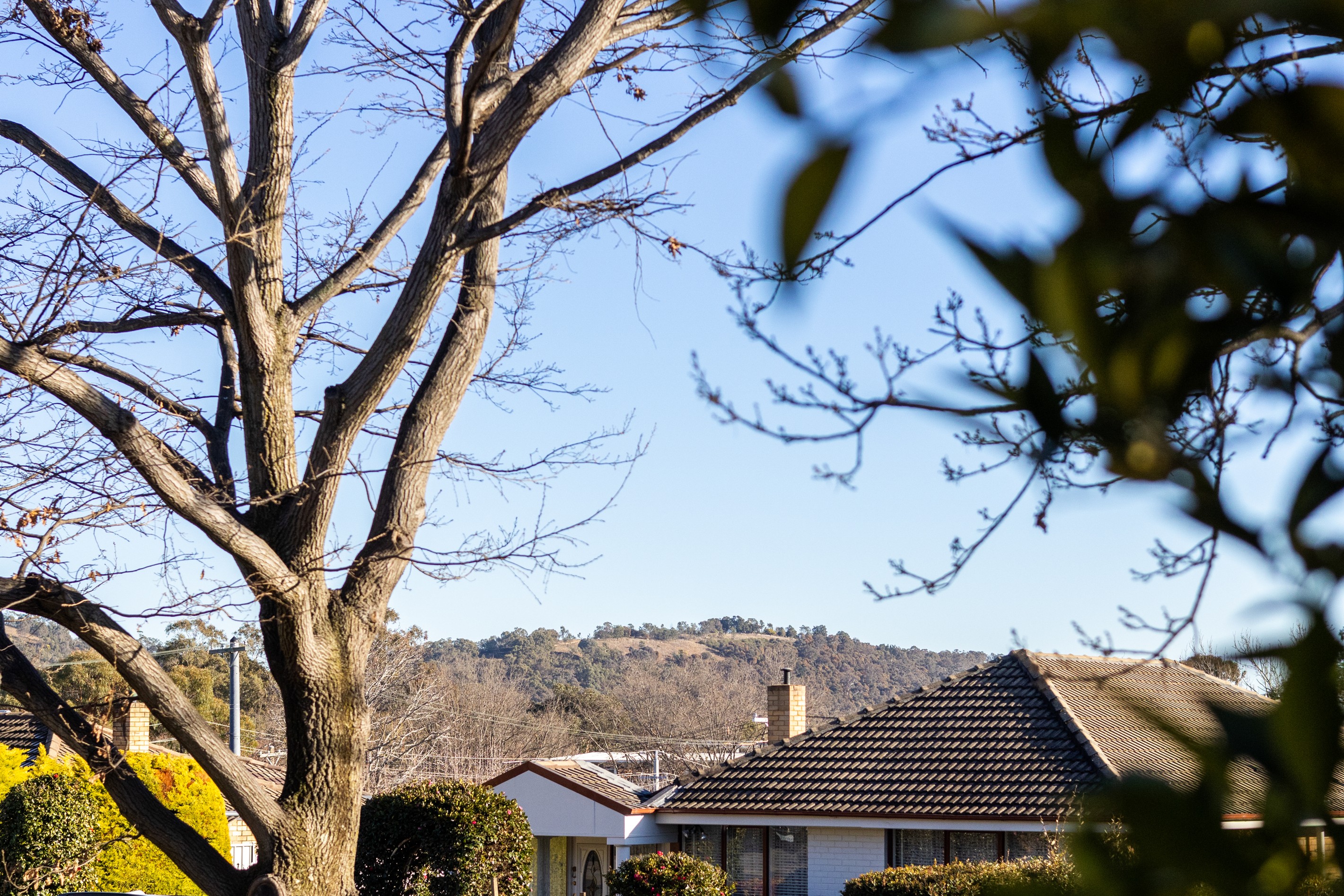 3 Discovery Street, Red Hill, ACT 2603