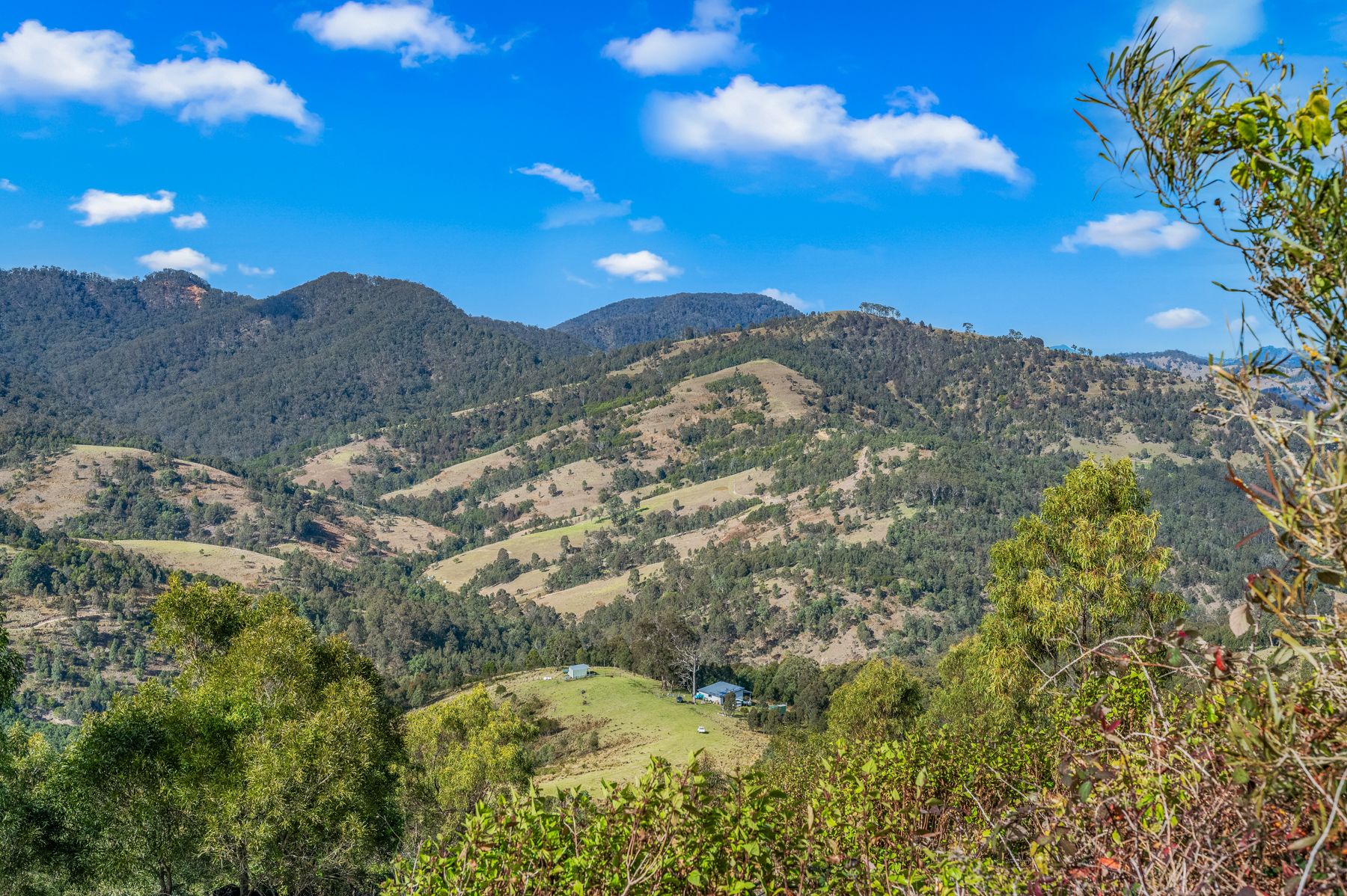 Lot 88, 2642 Off Carrowbrook Road — photo 19 of 28
