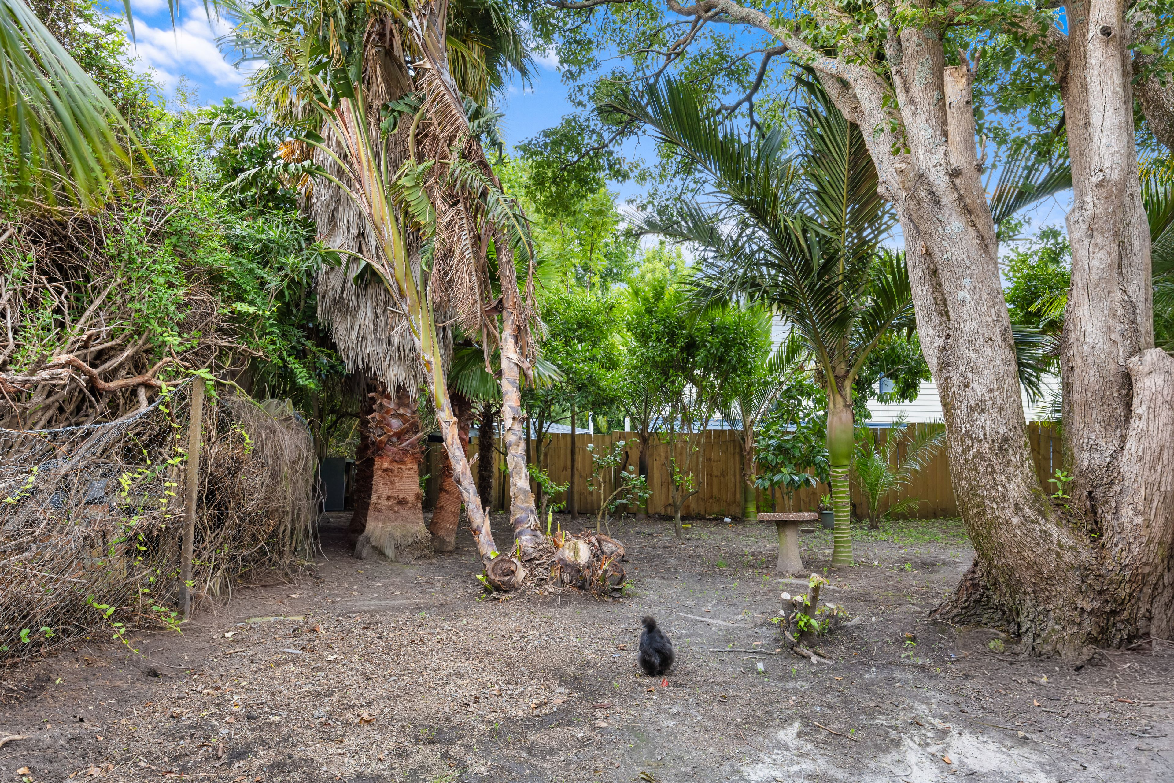 14 Mcleod Road, Henderson, Waitakere City