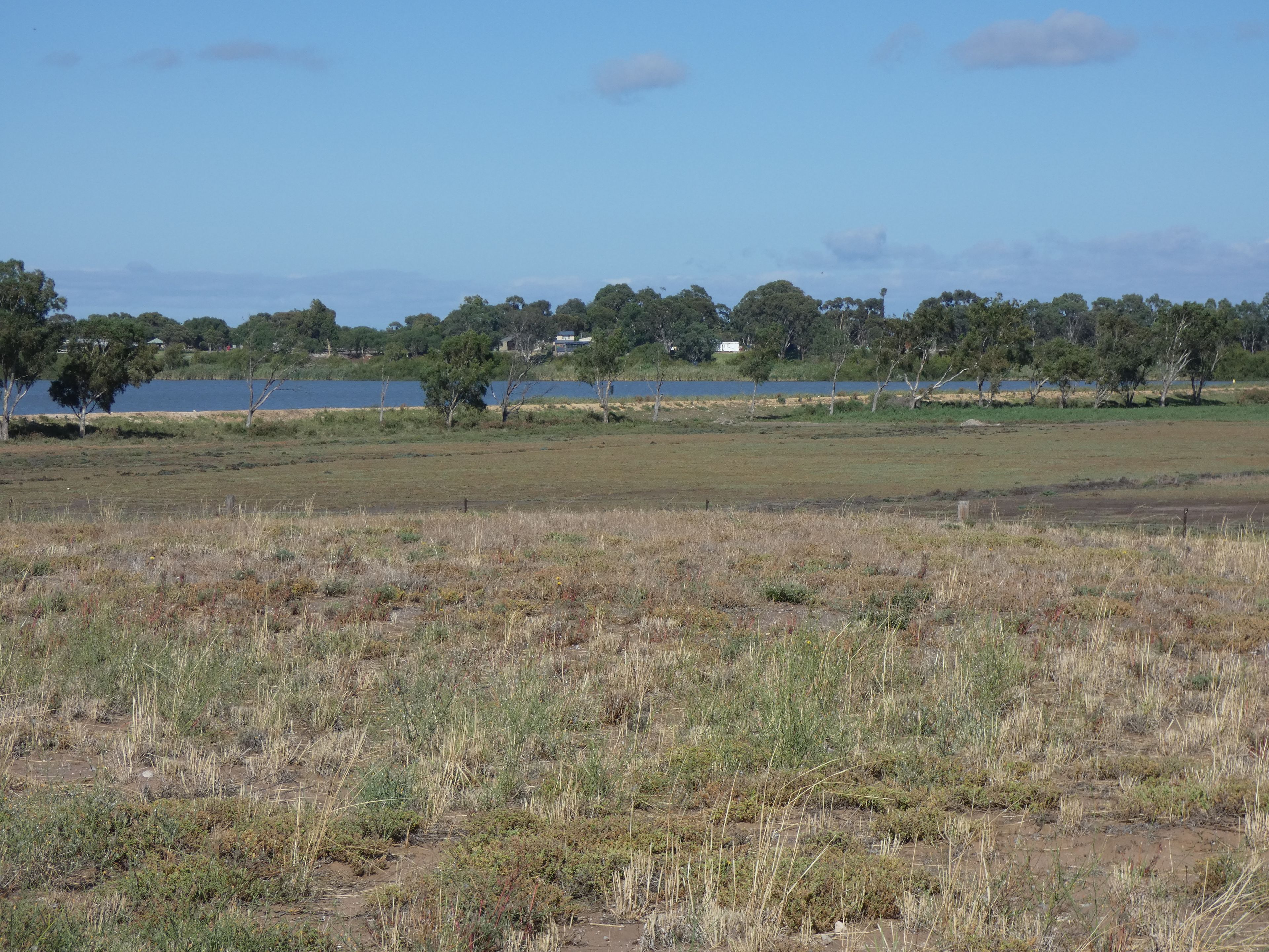 Lot 91 Alison Court, Wellington East, SA 5259