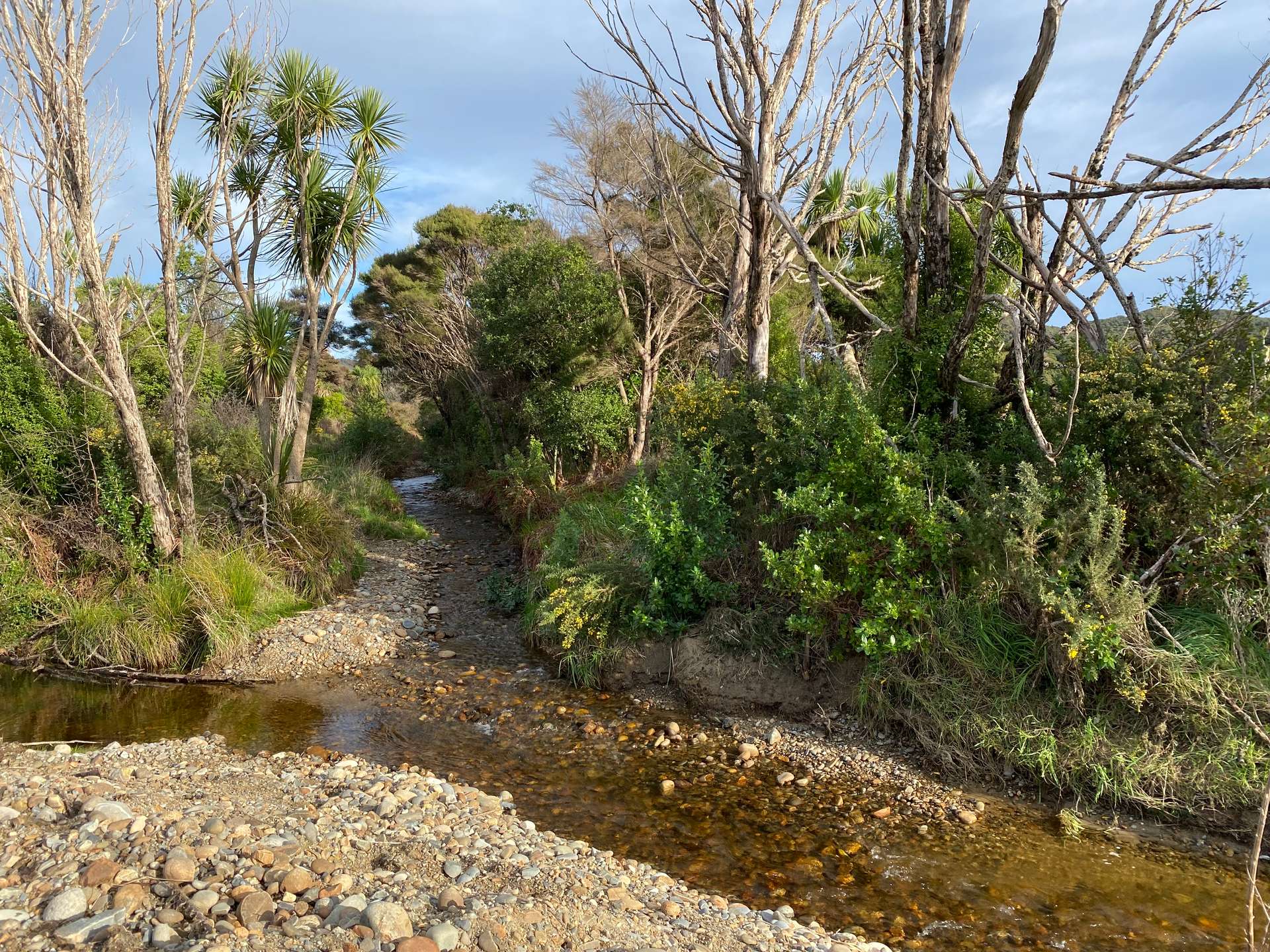 172 Wharariki Road photo 6