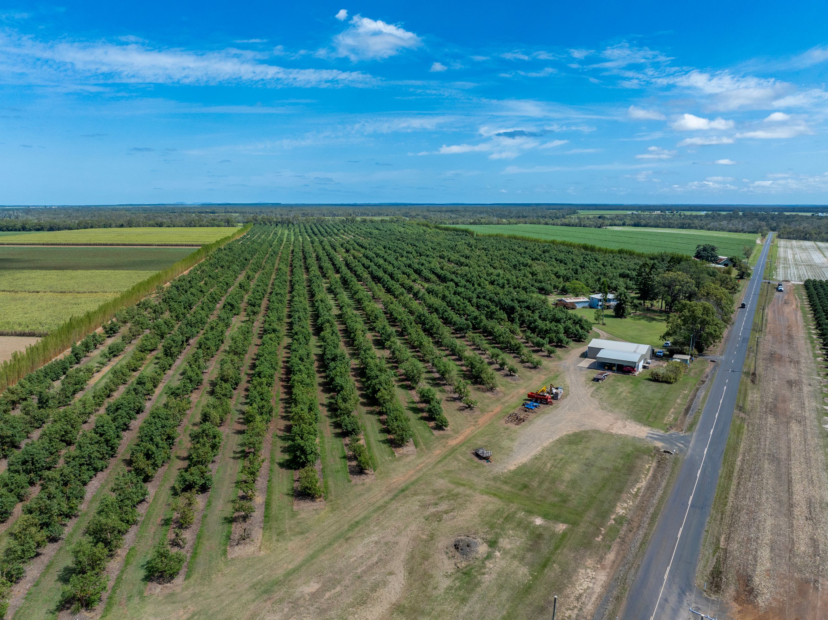 Ray White Rural Queensland