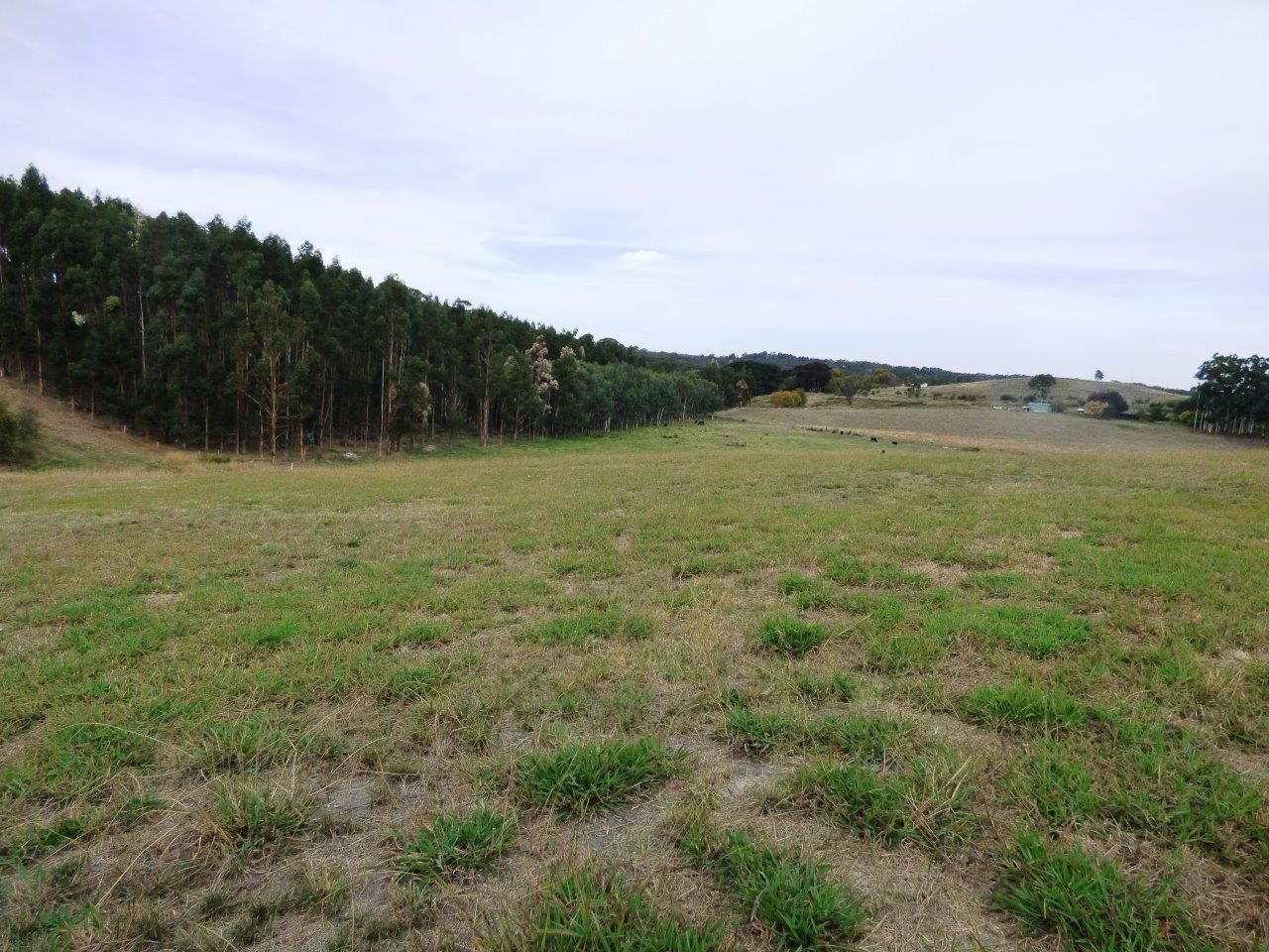 Lot 102 Beaumont Road, Verdun, SA 5245