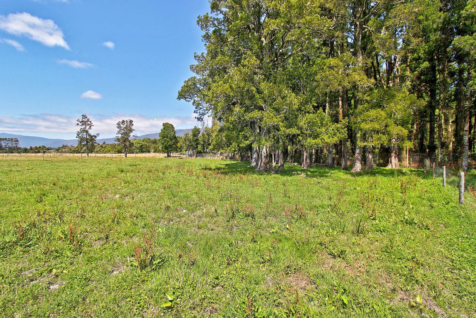 Lot 2 Utopia Road, Westport, Buller District Real Estate Ray White