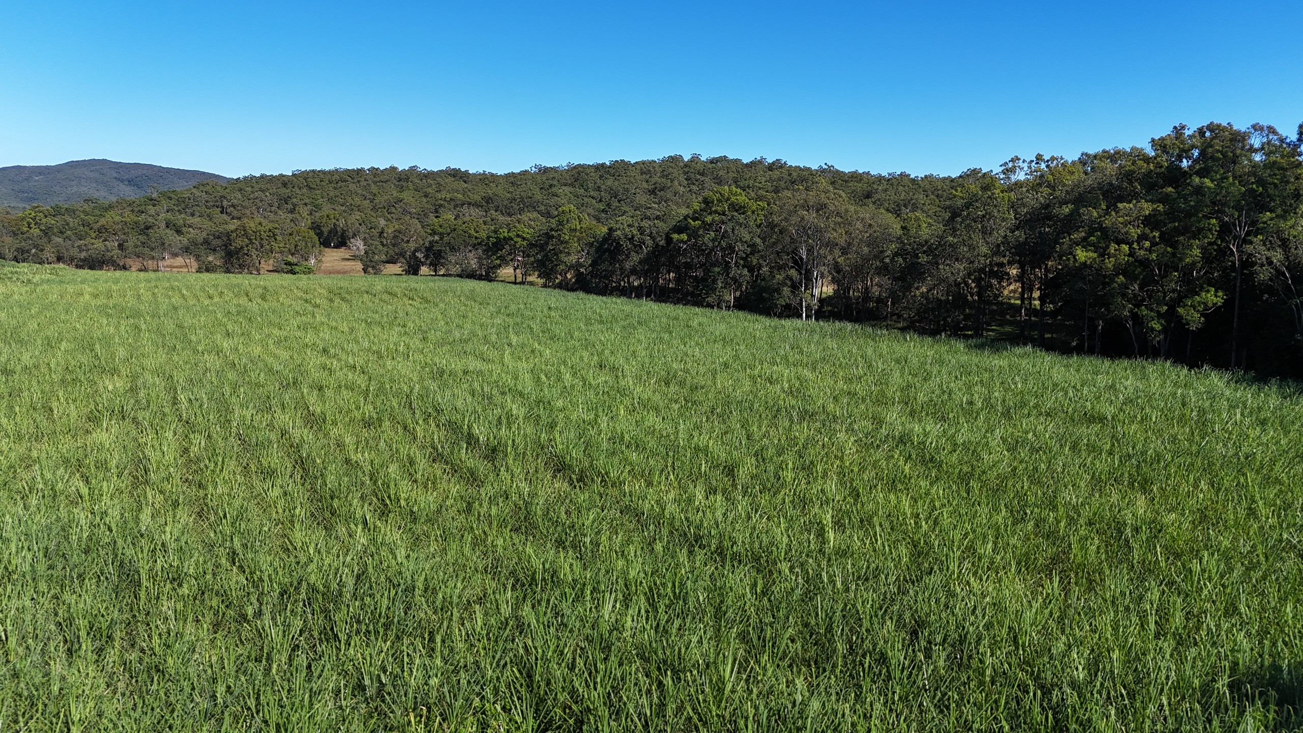 198 Campbells Crebers Road, Carmila, QLD 4739