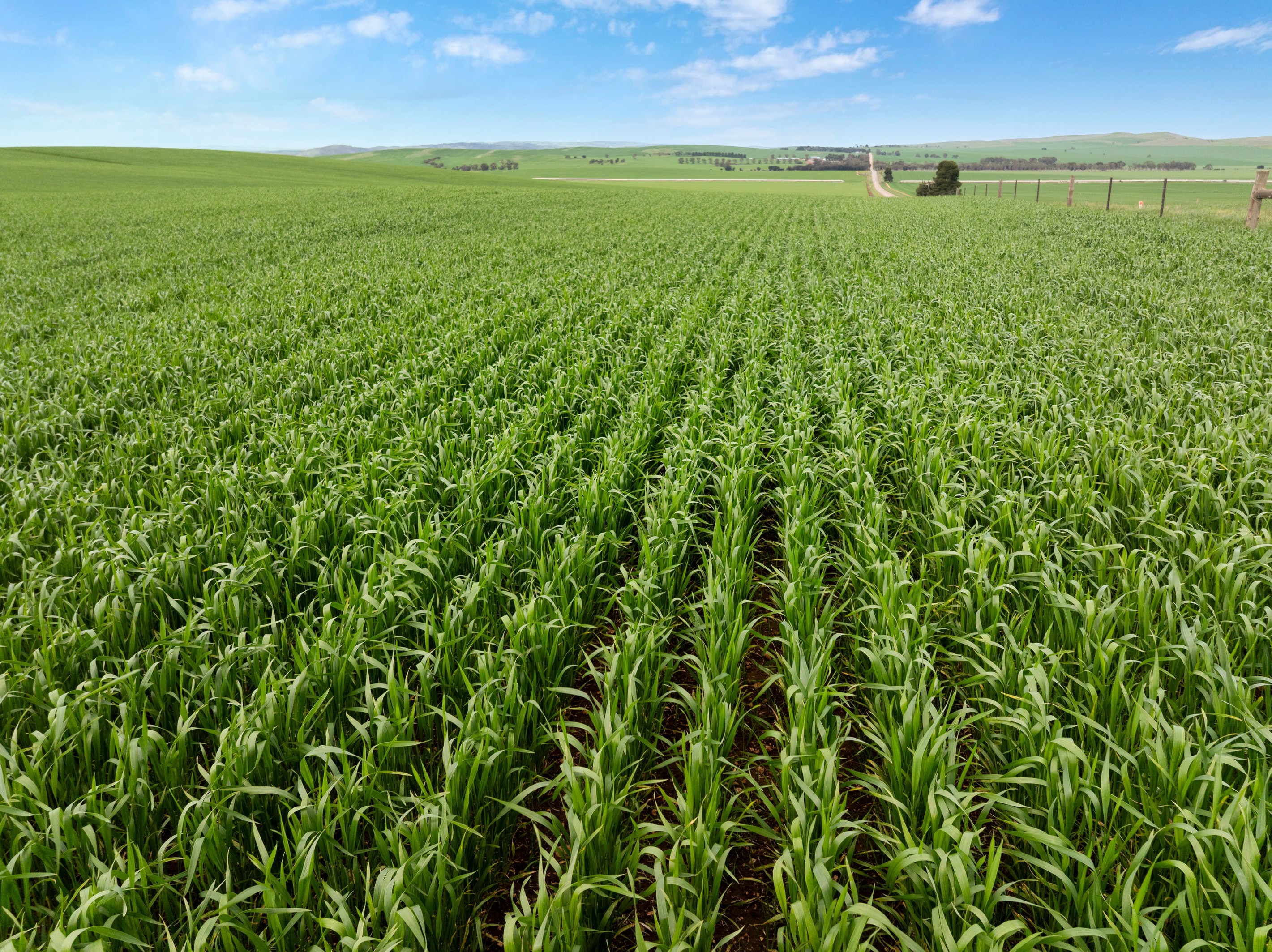'Wilson Land' Pipeline Road, Gulnare, SA 5471