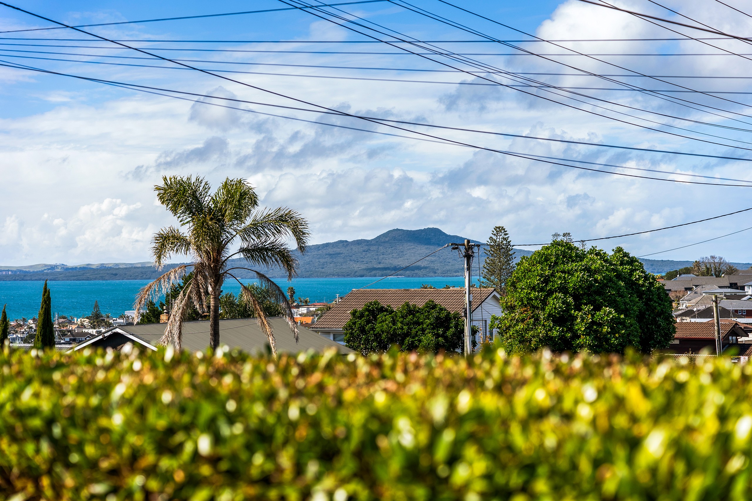 106A East Coast Road, Forrest Hill, North Shore City