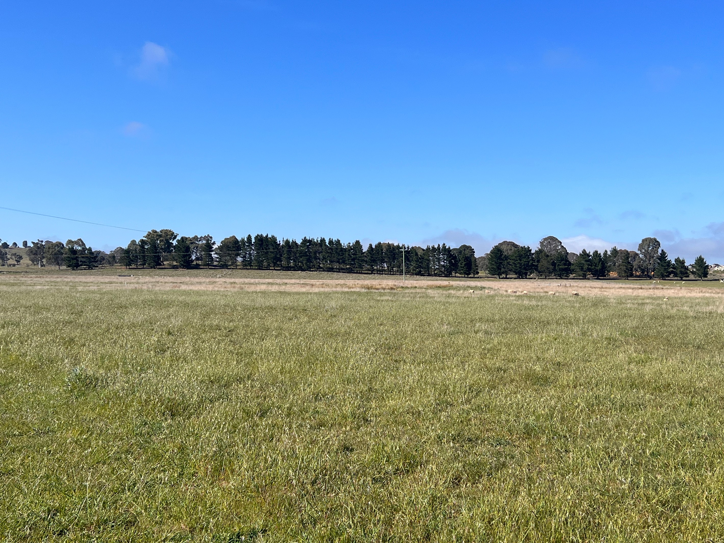 48 Mcleods Creek Drive, Gundaroo, NSW 2620