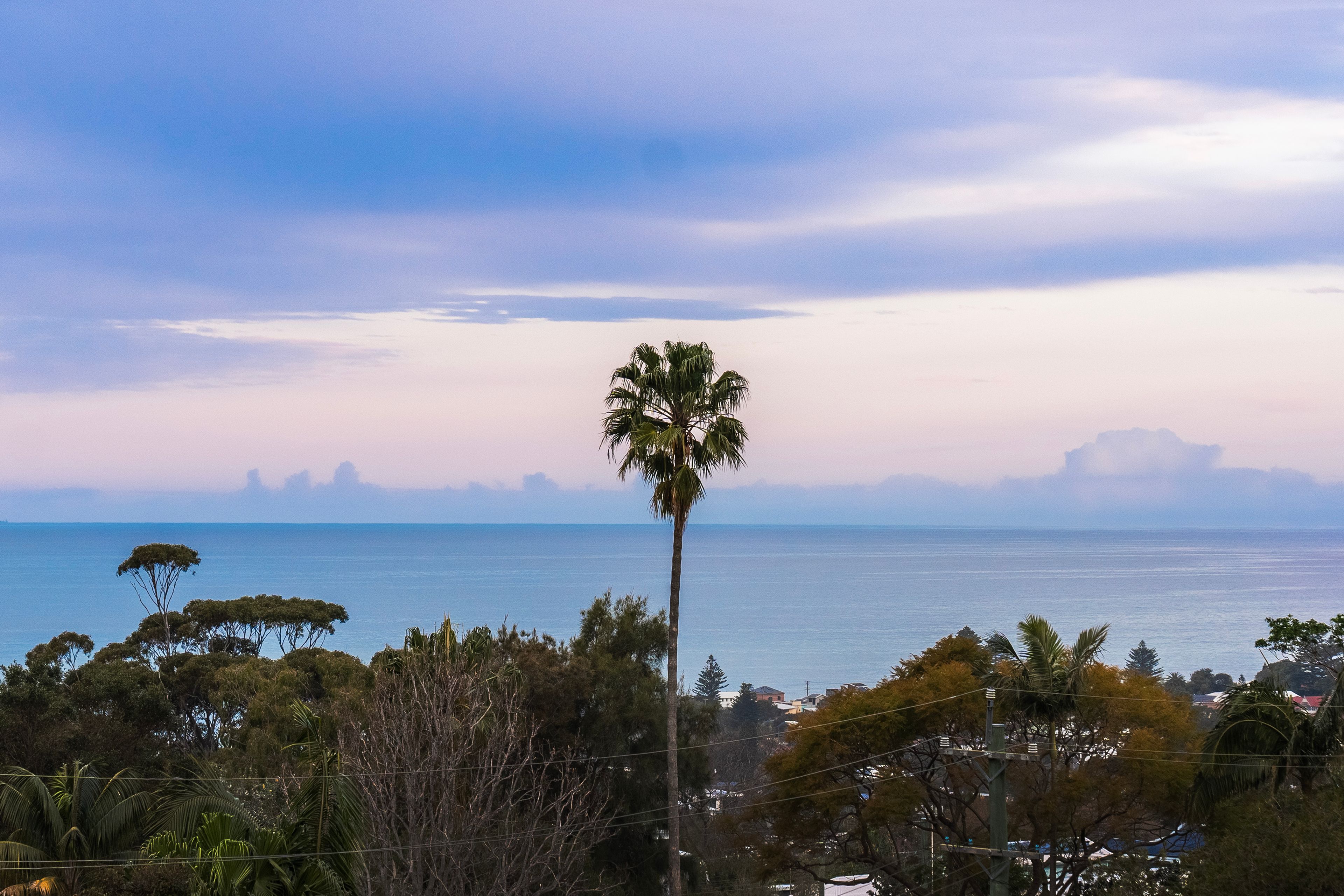8 Treetop Glen, Thirroul, NSW 2515