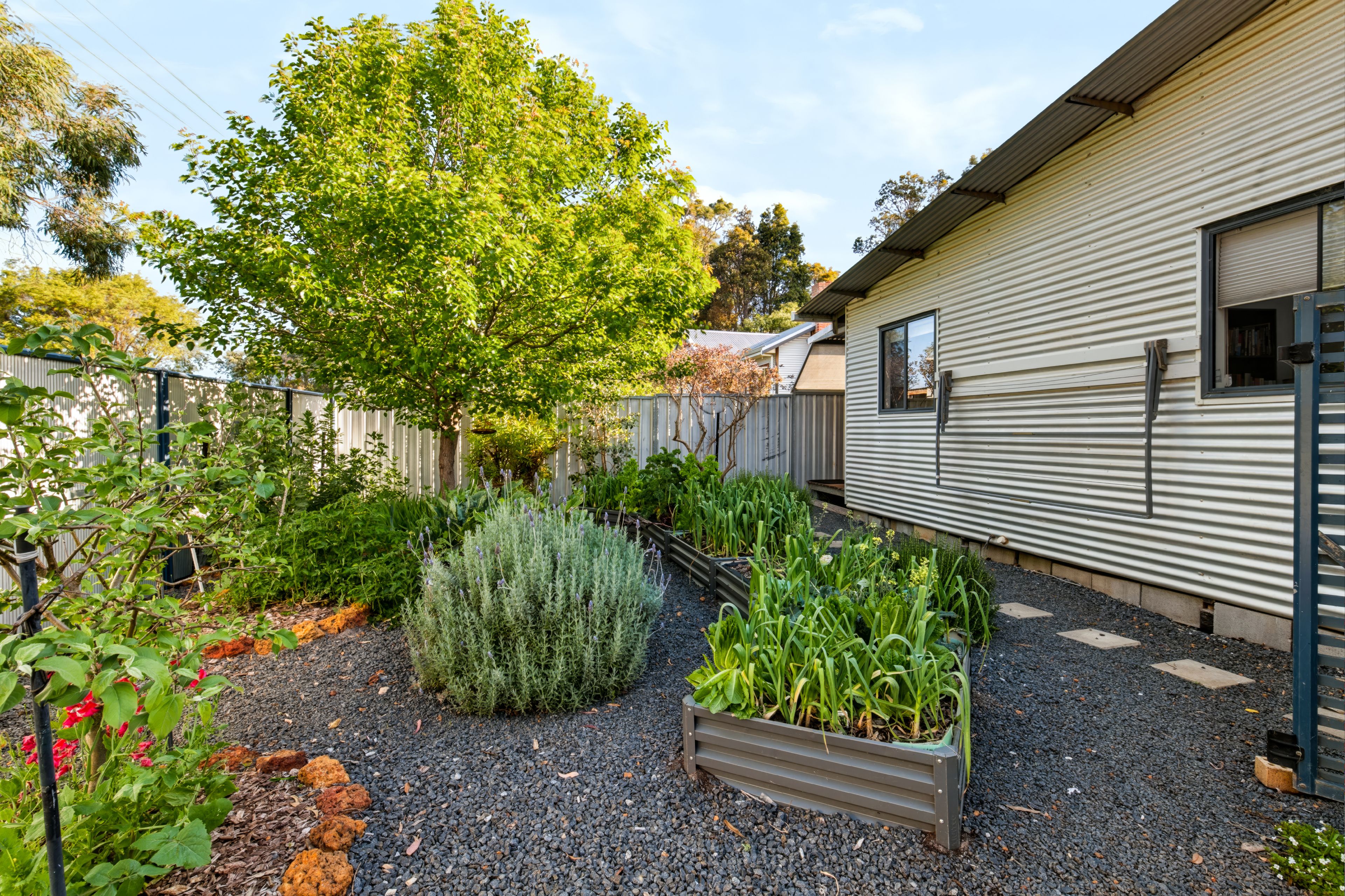 42 Dunnet Road — photo 19 of 28
