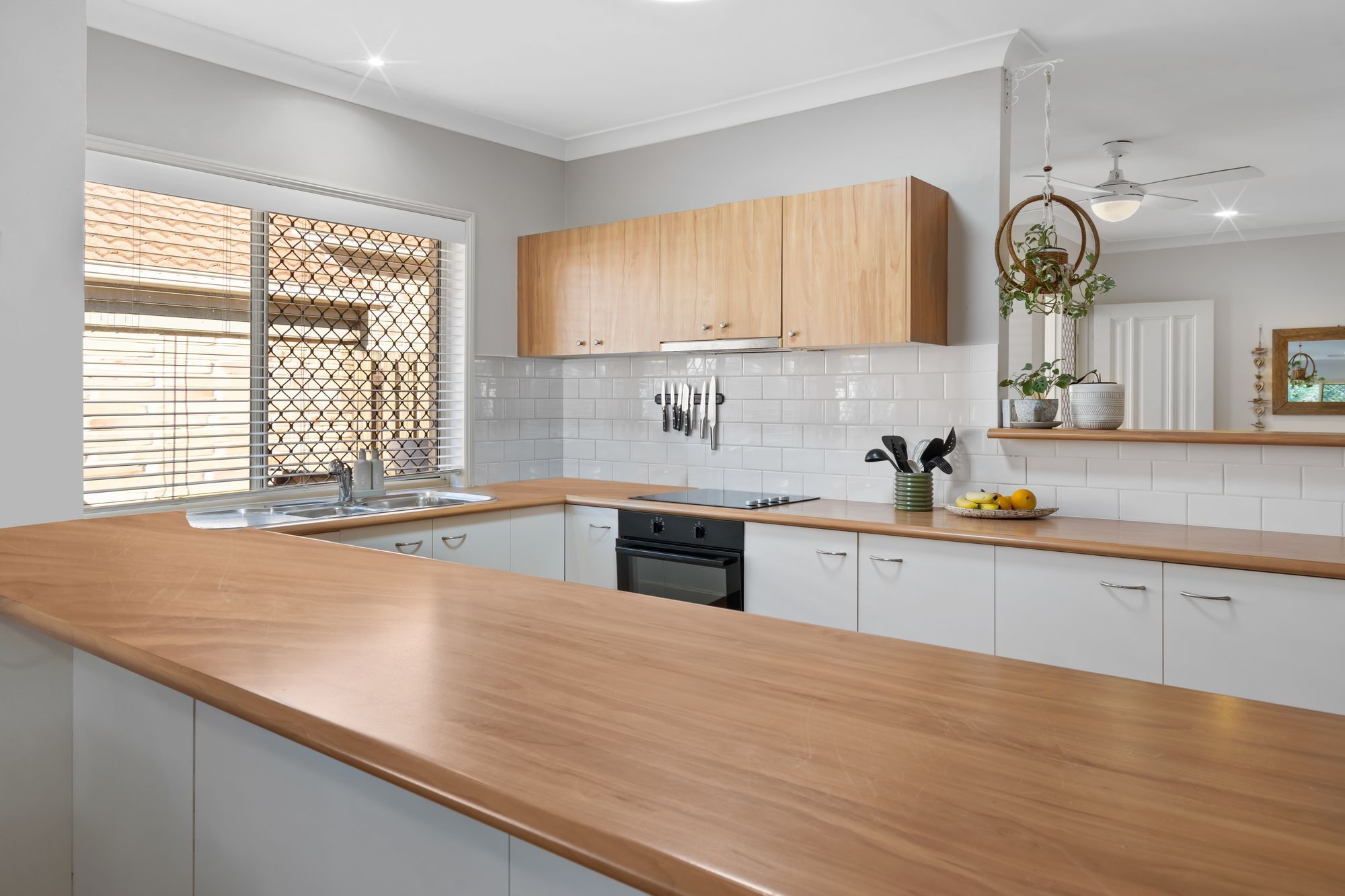 37 Con Brio Boulevard, Upper Coomera QLD 4209