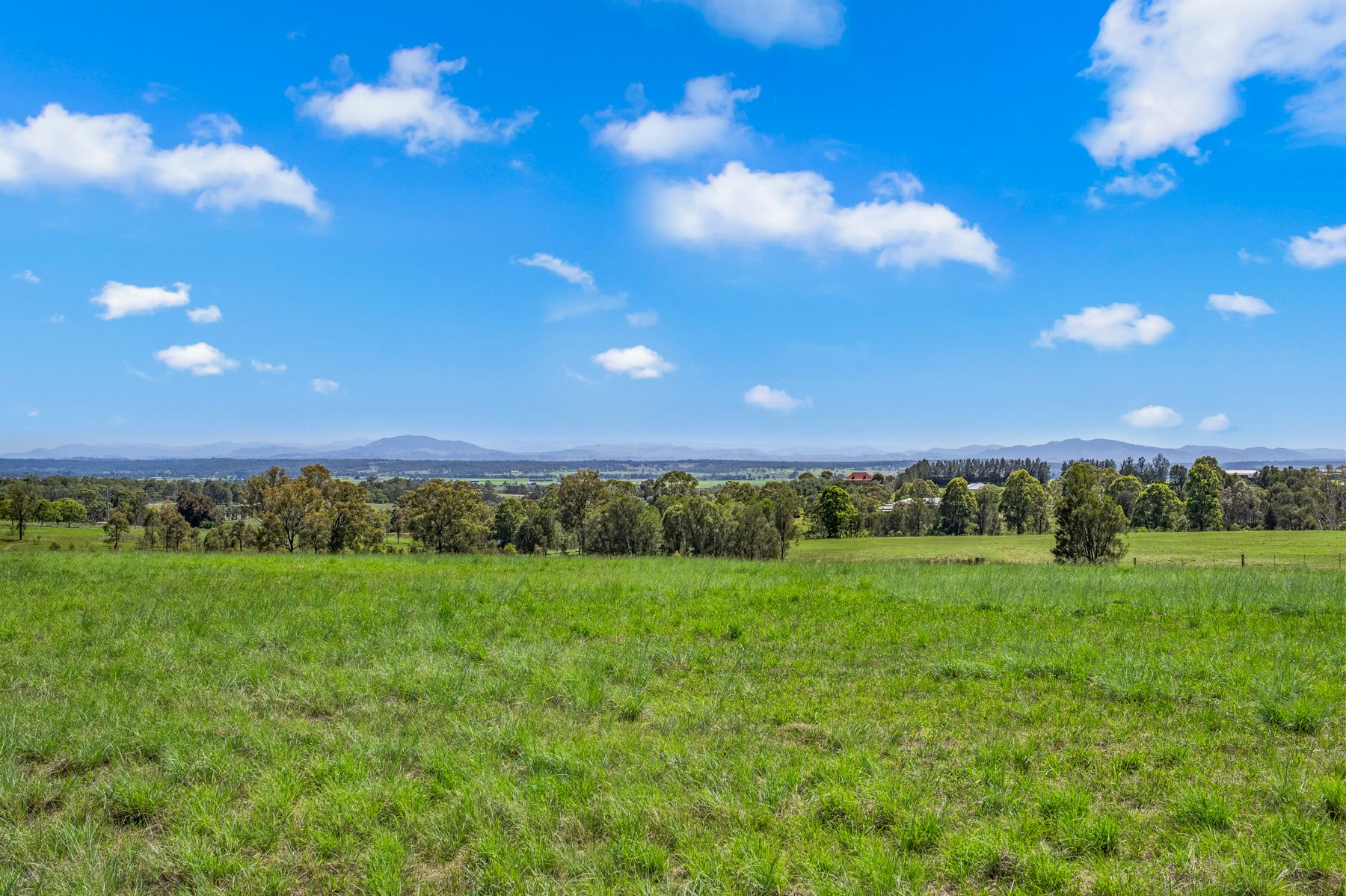 Lots 1-4 170 Minimbah Drive, Singleton, NSW 2330