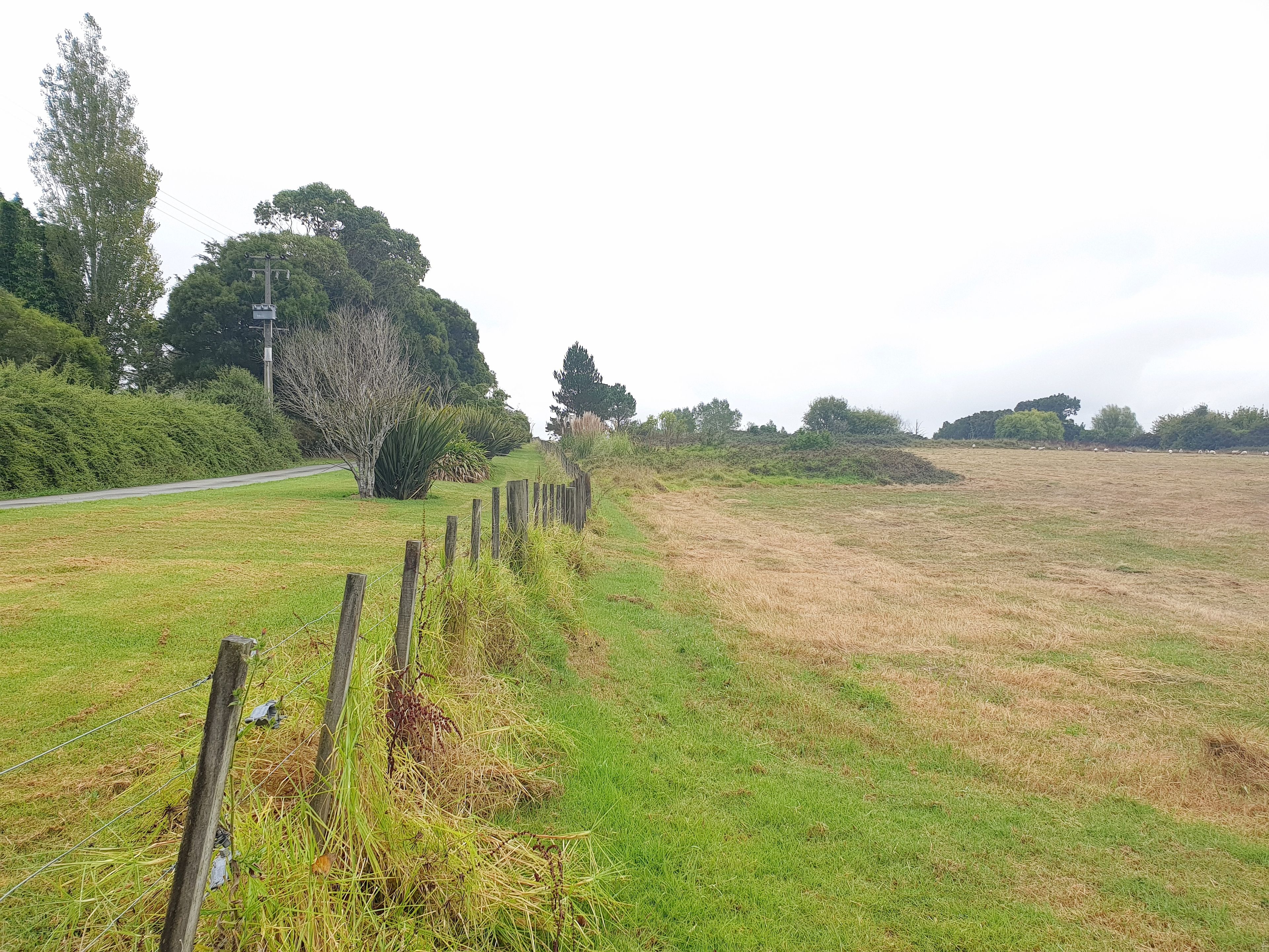 166 Top Road, Dairy Flat, Rodney
