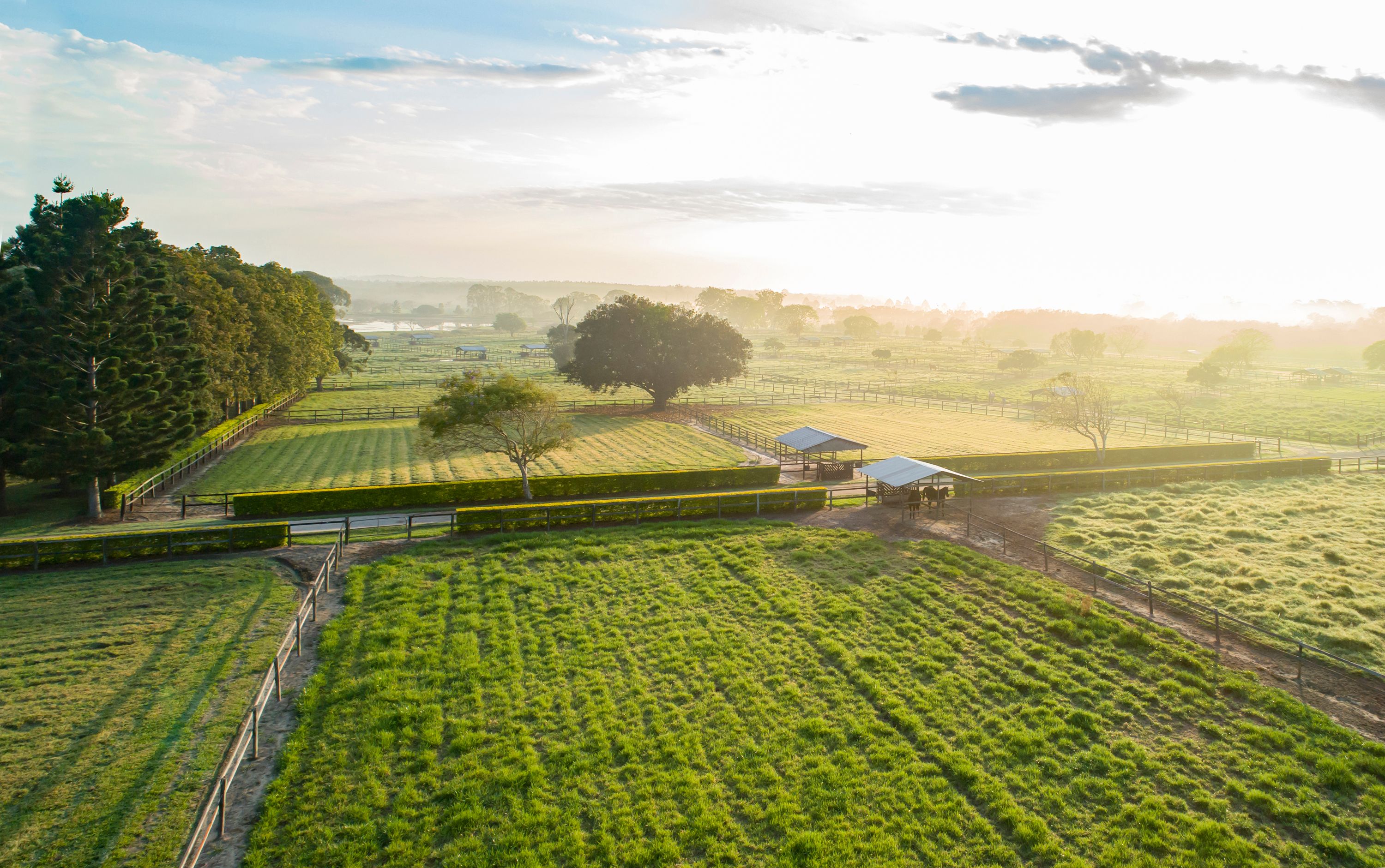 479 Old Toorbul Point Road, Caboolture, QLD Home For Sale • Ray White