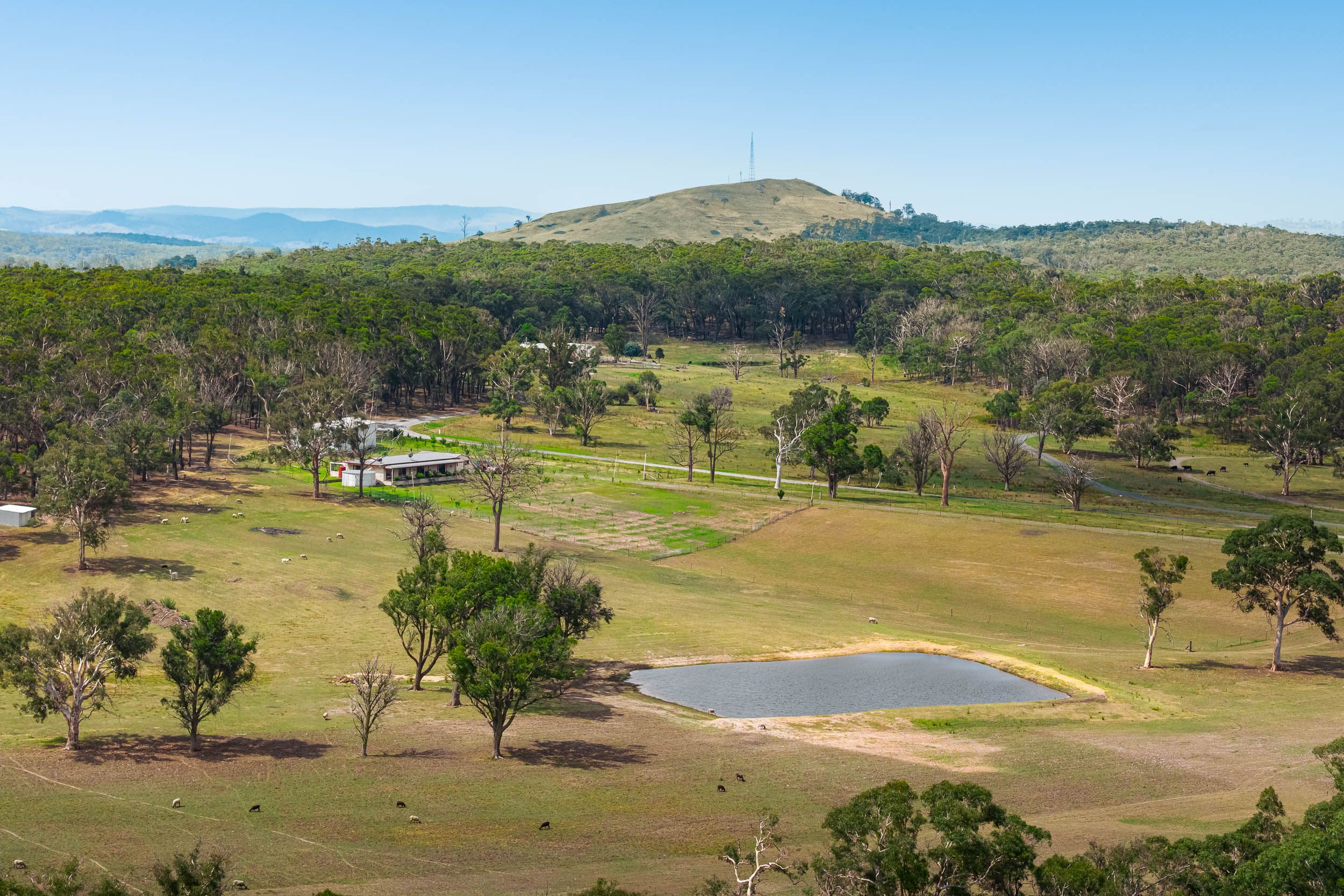 17 Dalmeny Lane, Carrick Via — photo from Ray White Goulburn