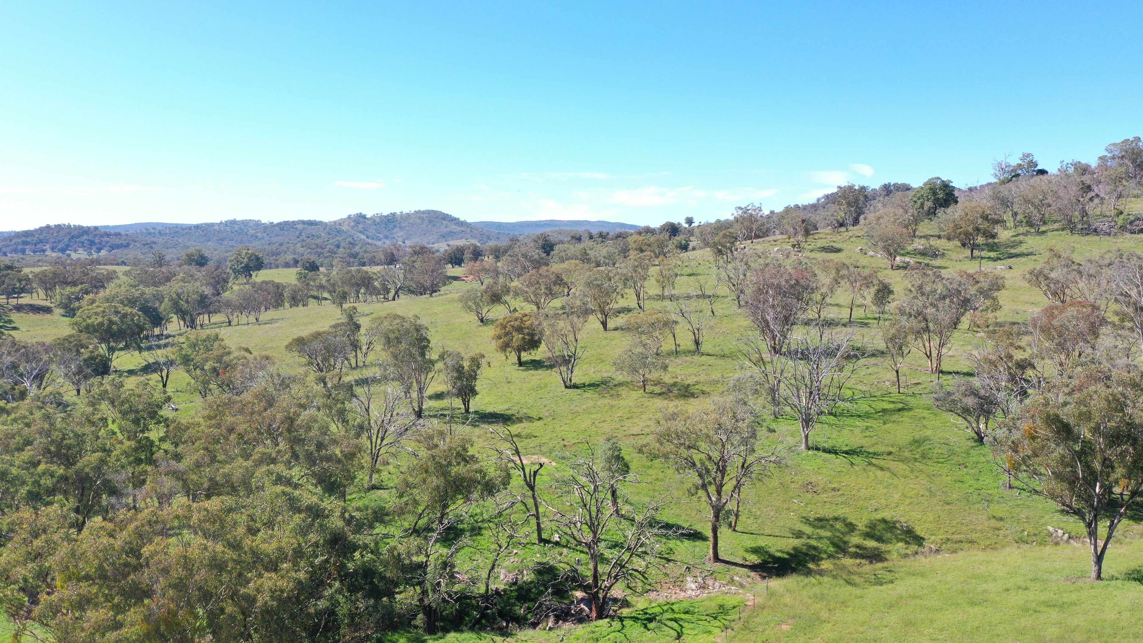 1058 Old Bundarra Road, Barraba, NSW 2347 Rural Property for Sale Ray White Tamworth