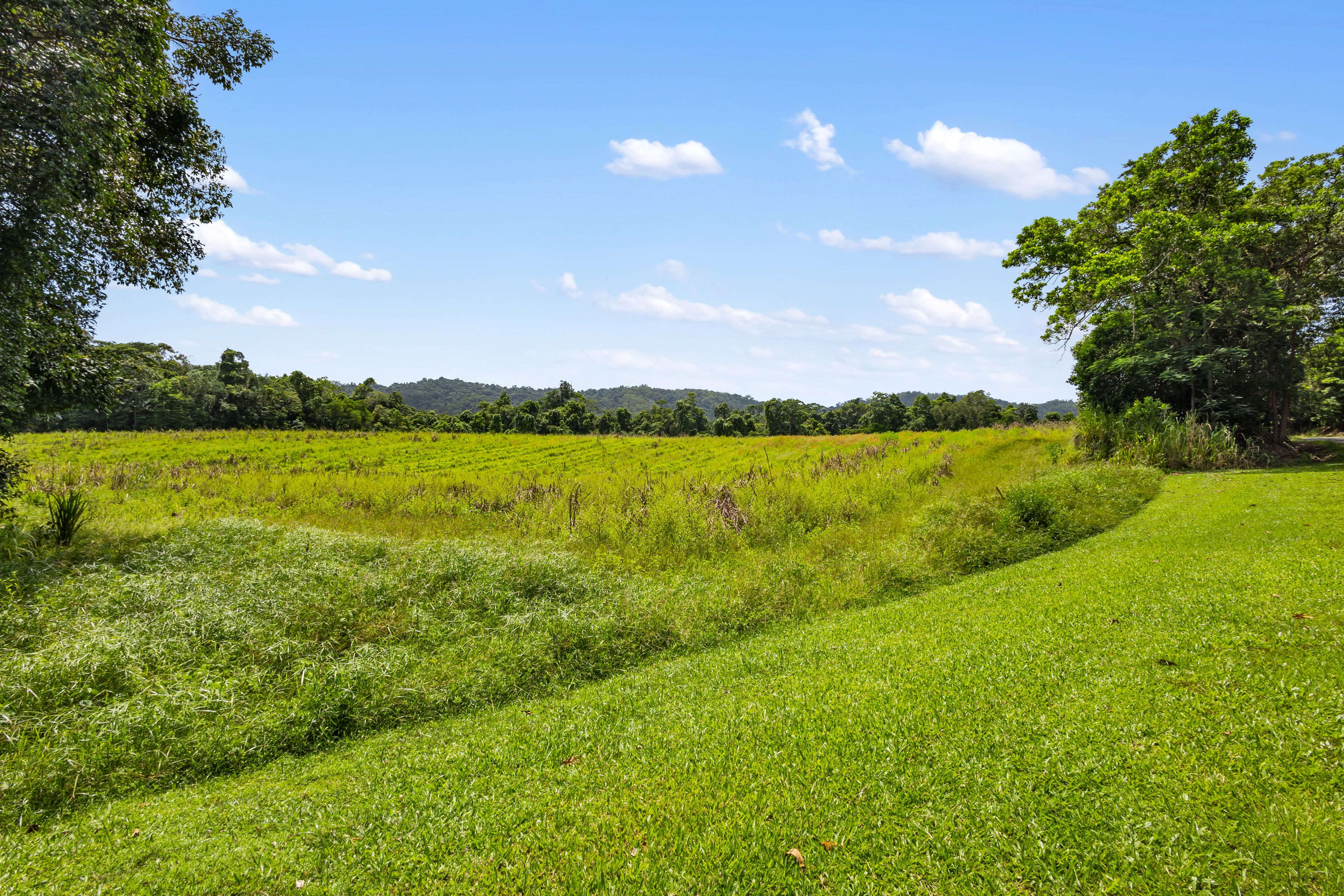 CASSOWARY ESTATE - Affordable lifestyle acreage lots — photo 13 of 23