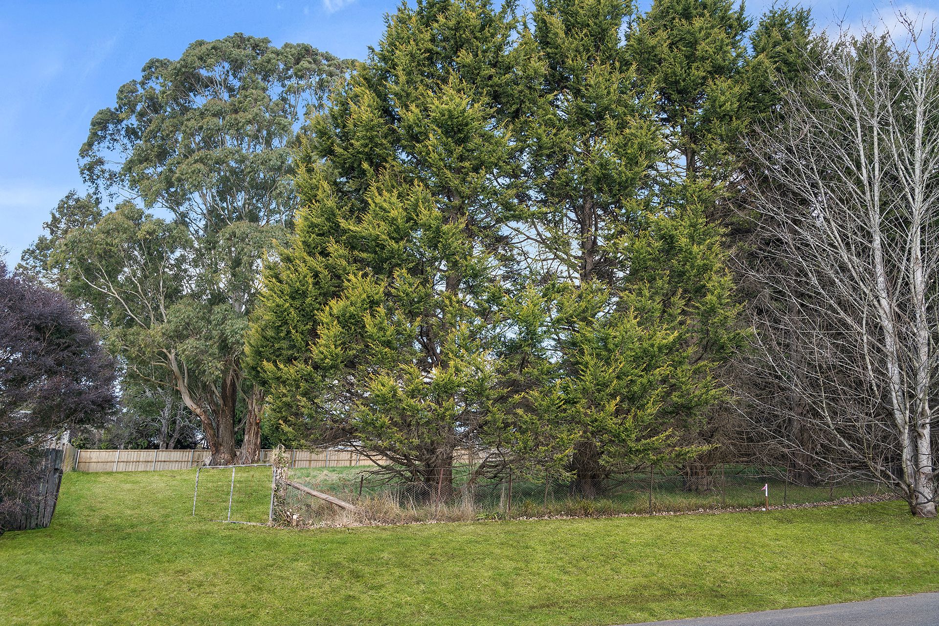Lot 49 Pile Street, Exeter, NSW 2579