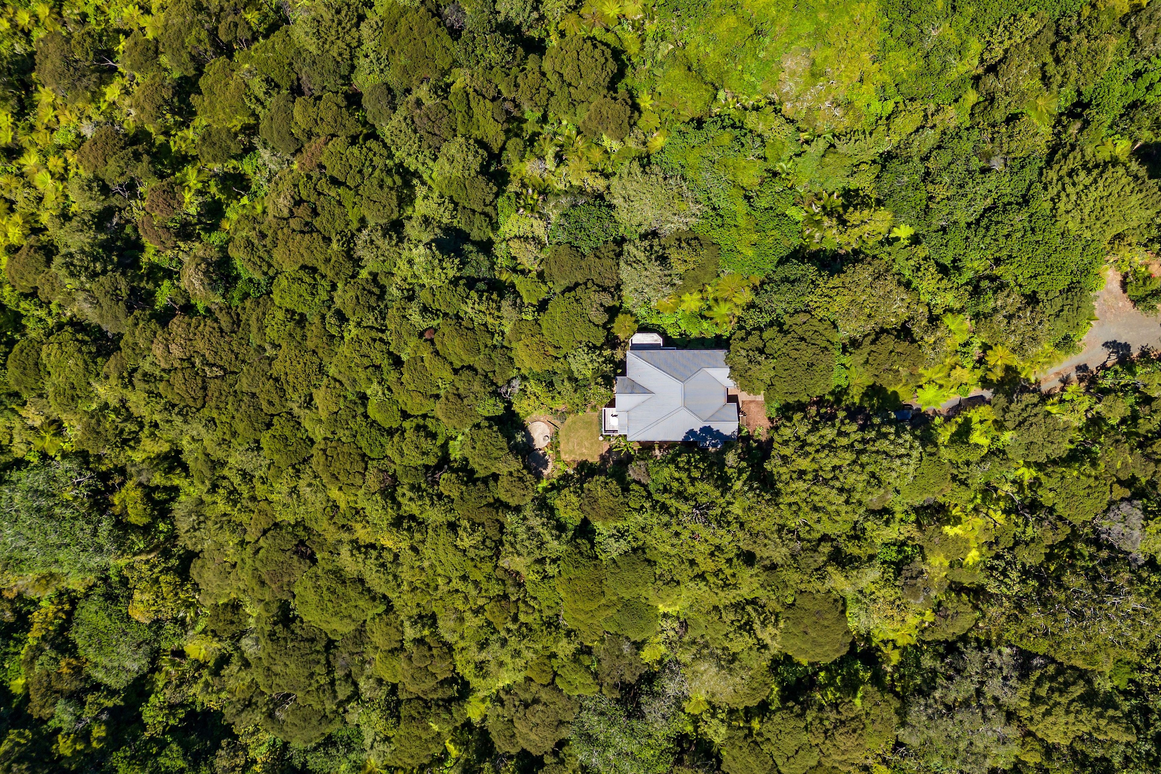 4 Kereru Grove, Greenhithe, North Shore City