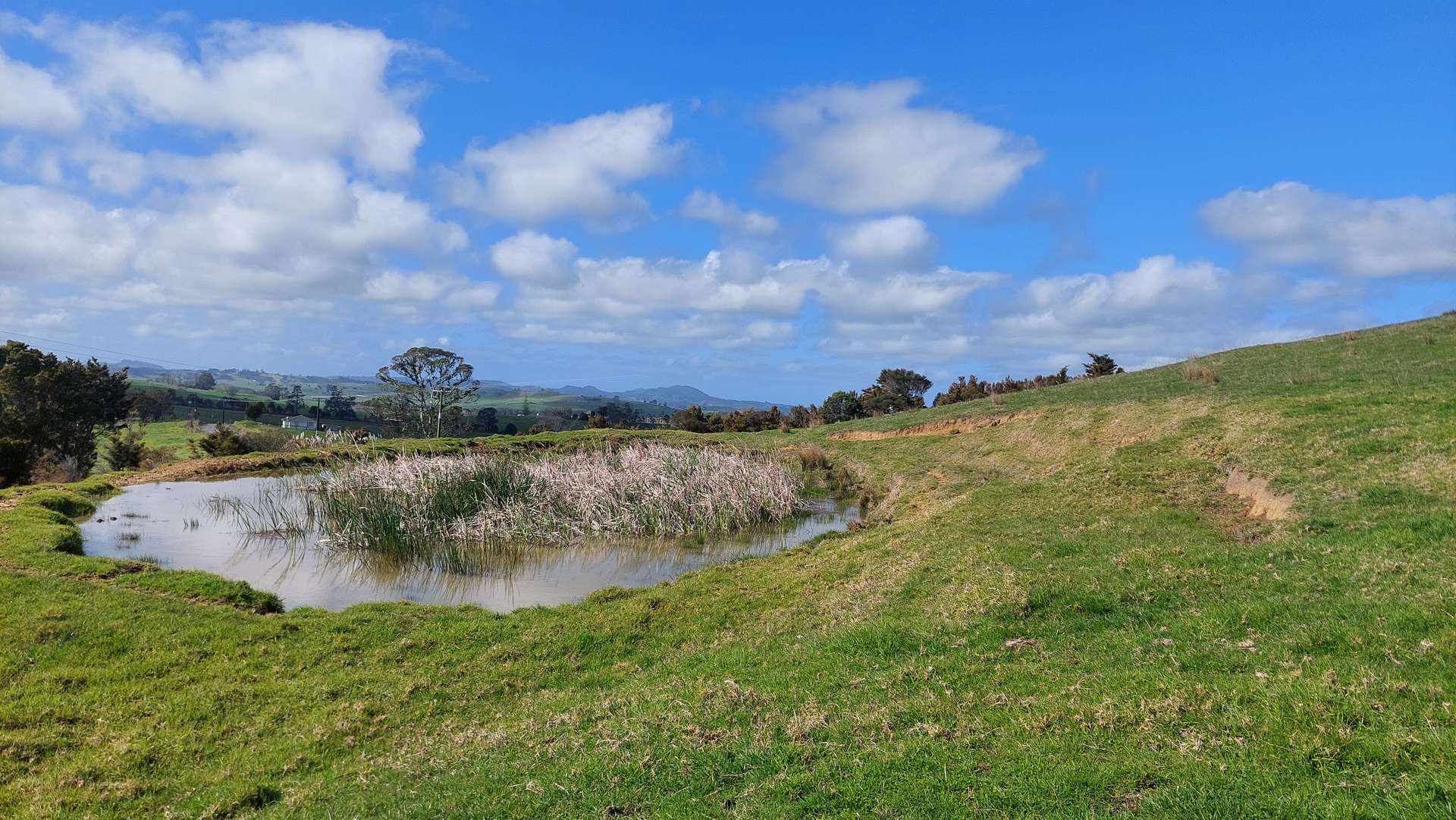 0 Cnr Milne and Aponga Stream Road photo 9