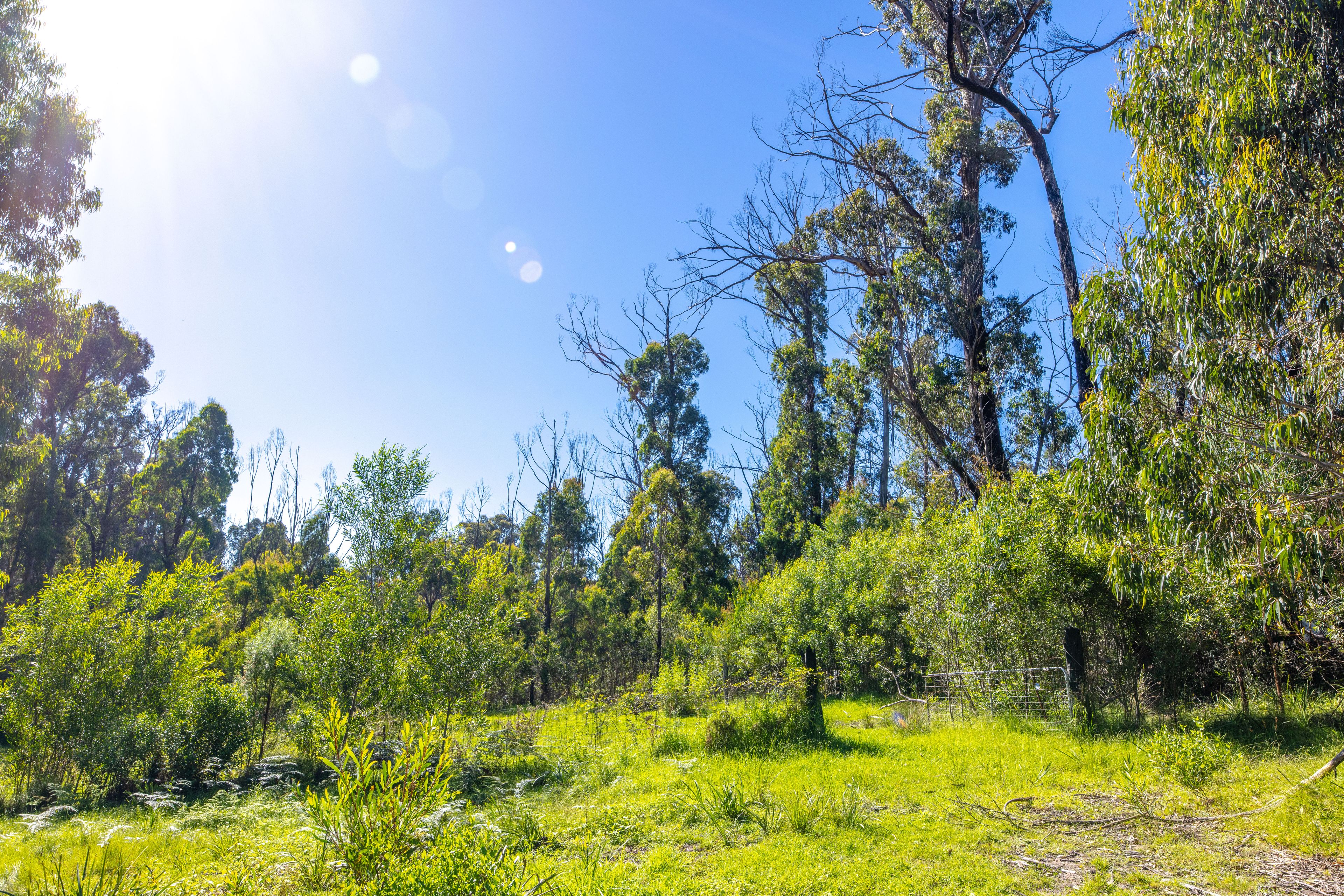Lot 4 Braidwood Road, Sassafras, NSW 2622