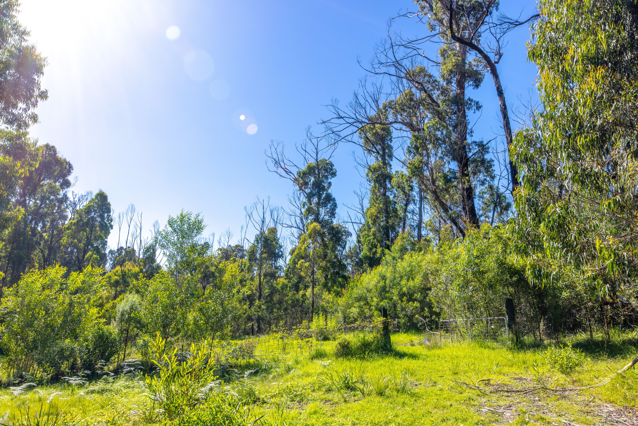 Lot 4 Braidwood Road, Sassafras, NSW 2622