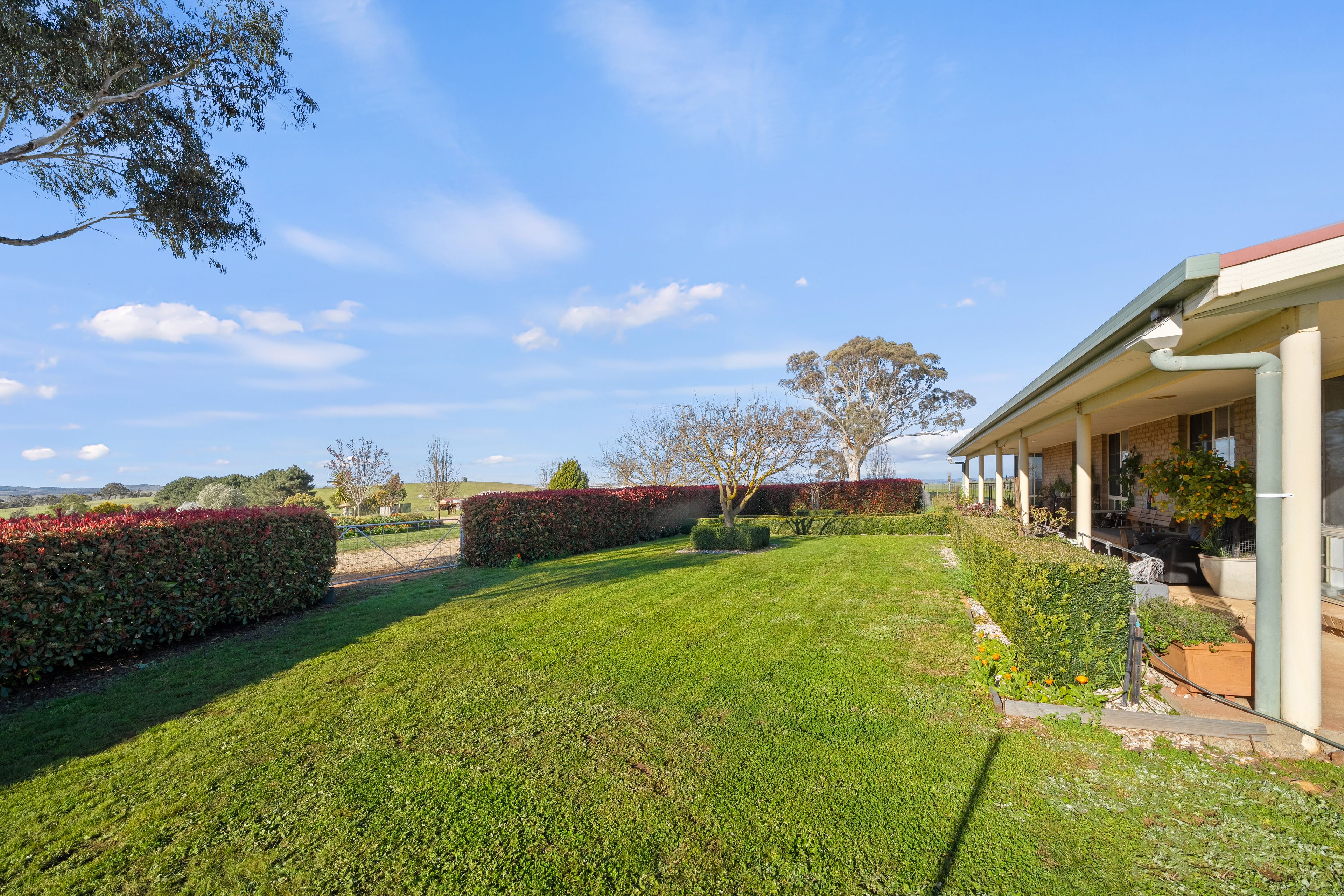 244 Allen Road — photo 15 of 30