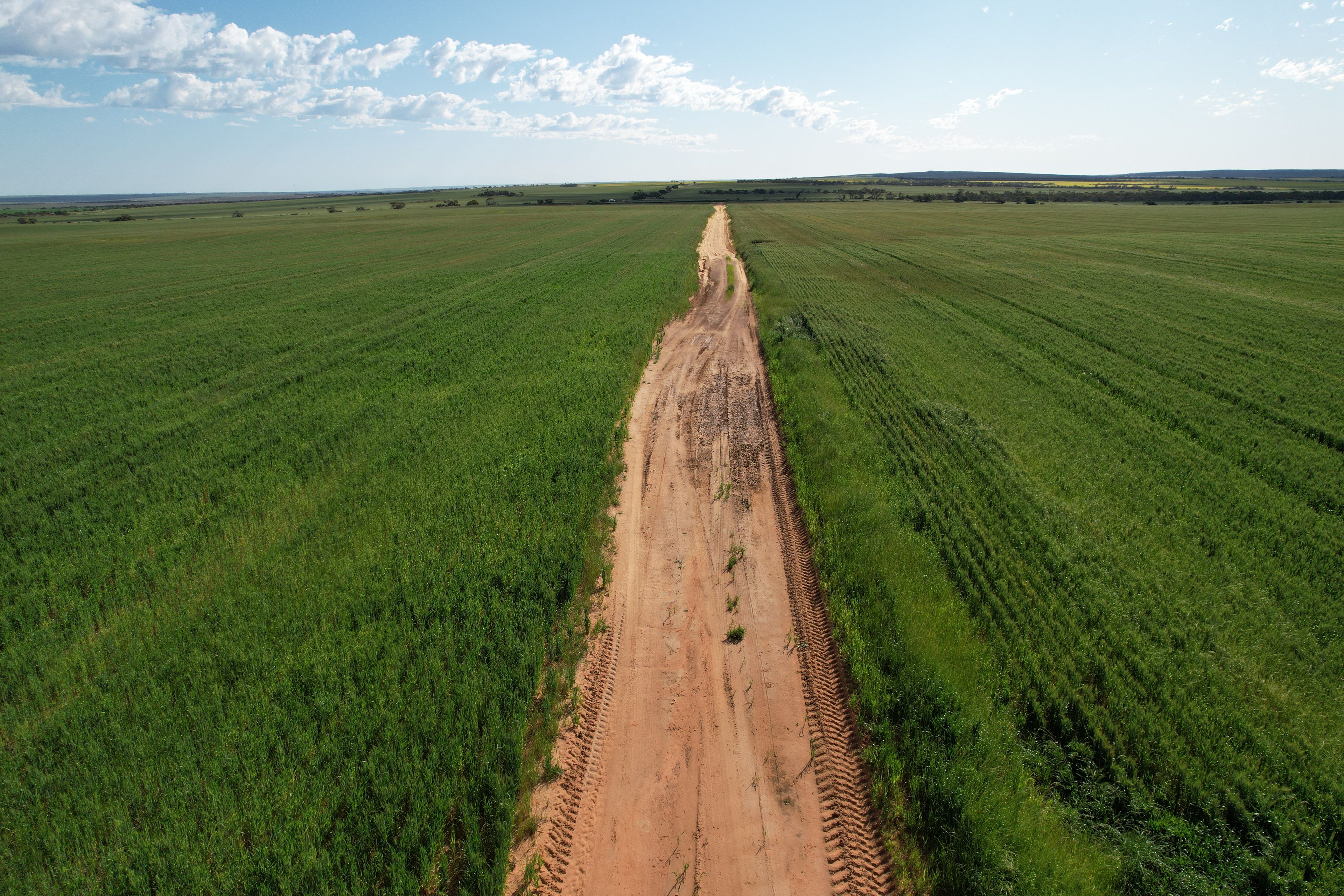 Tenindewa Williamson Road, Mullewa, WA 6630