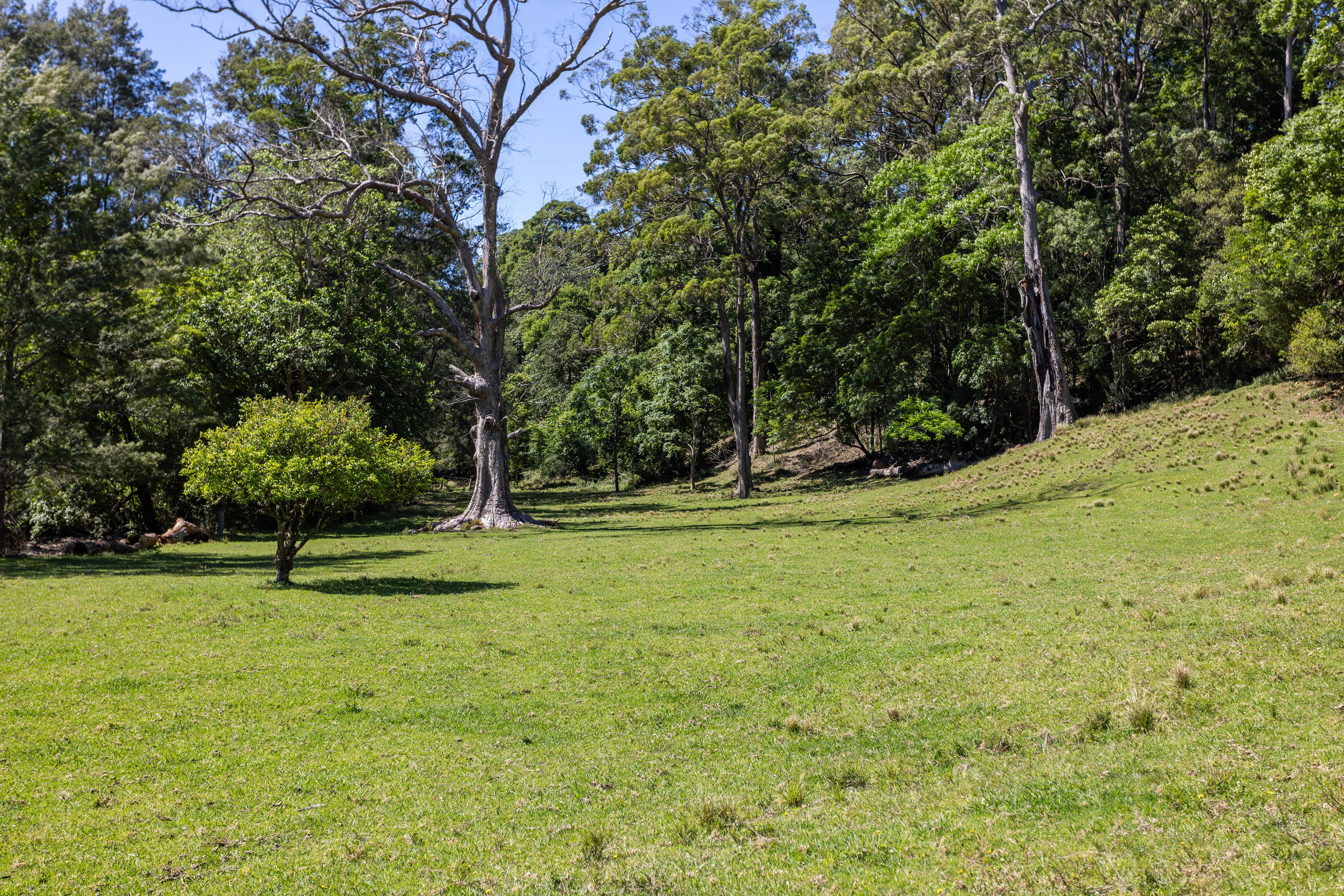 'Franks Farm' Lots 127-129 Free Selectors Road — photo 11 of 21