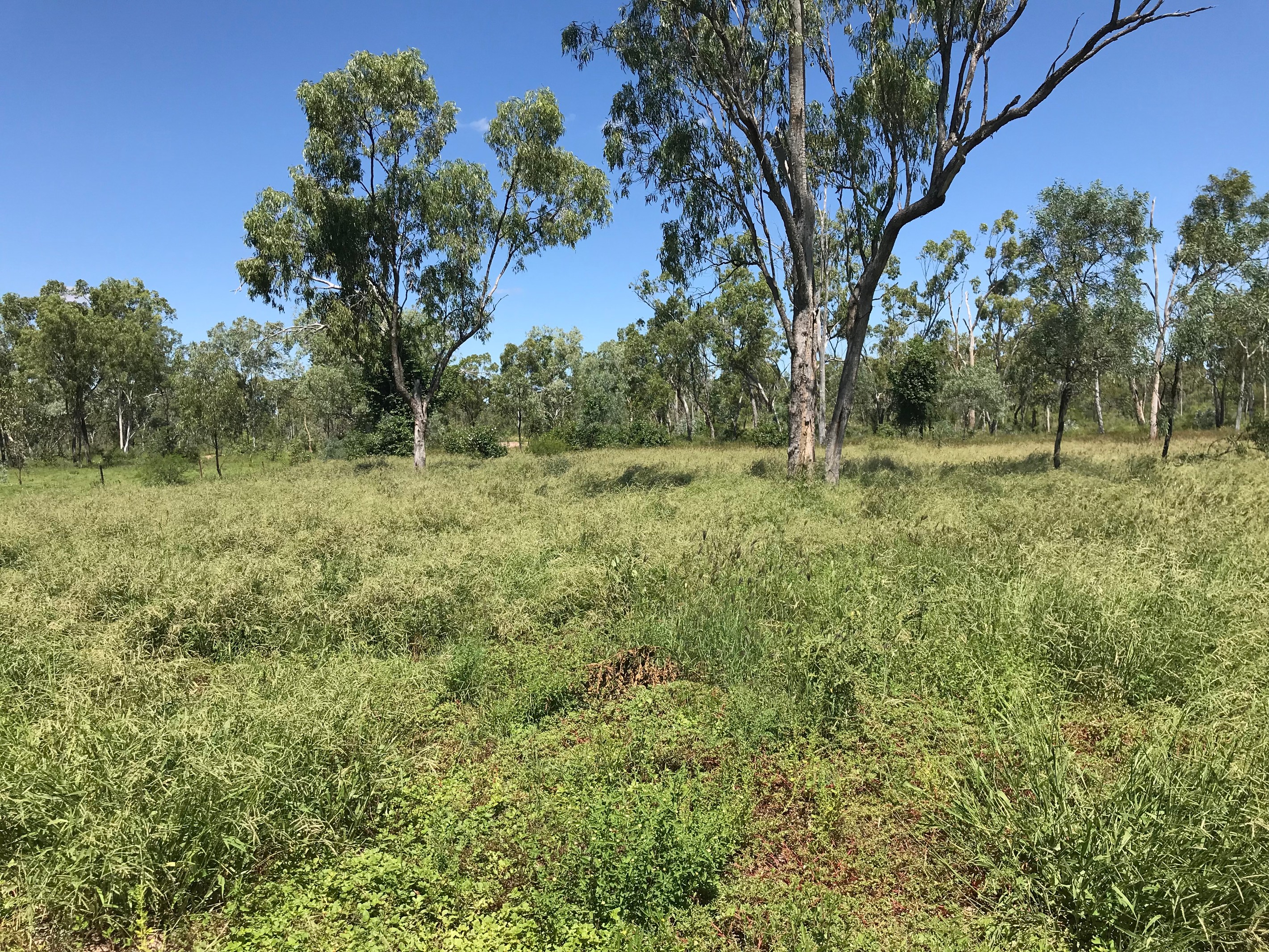 Somerset, CHARTERS TOWERS, QLD 4820