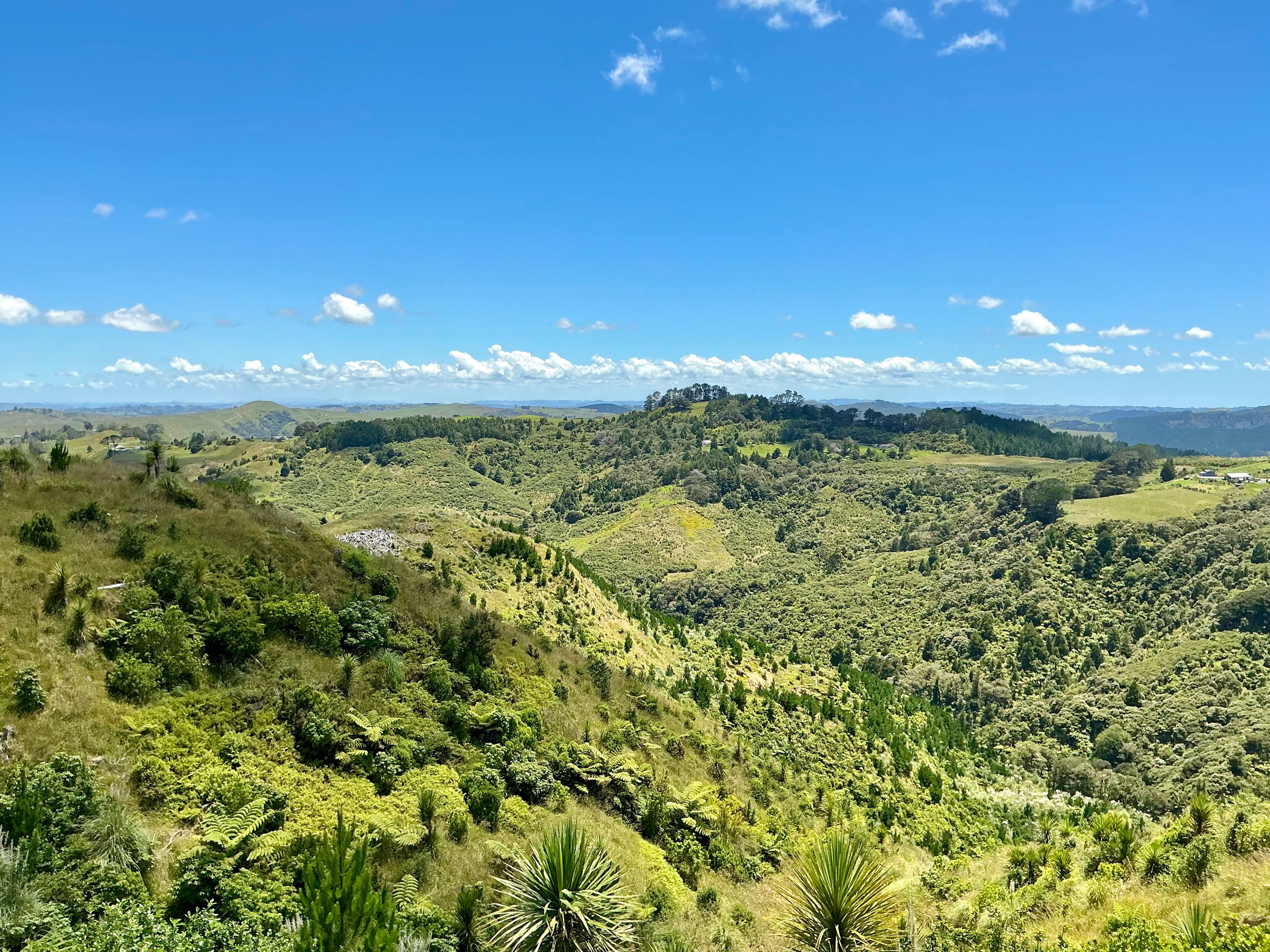 103 Dill Road, Kaipara Flats, Rodney