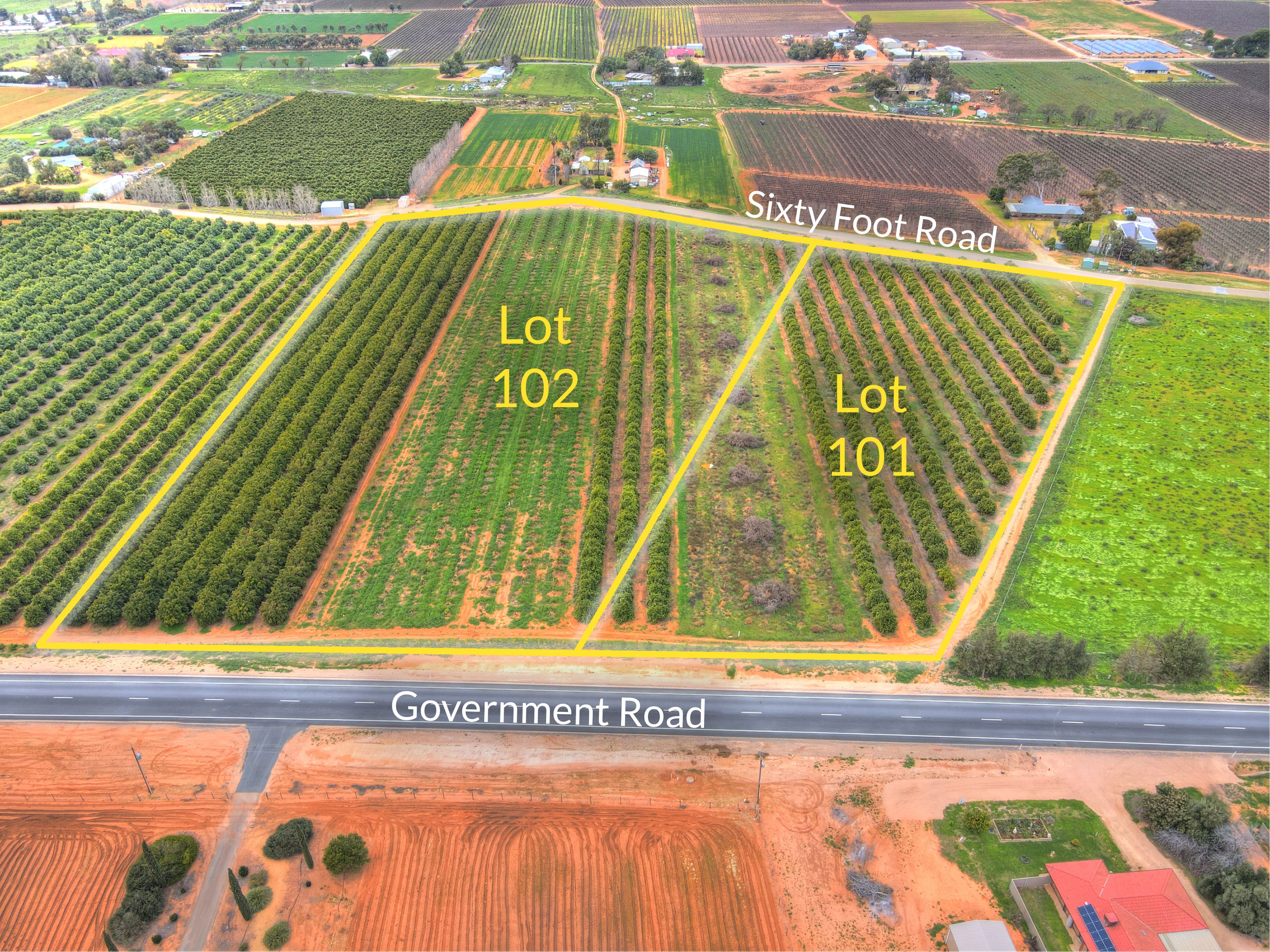 Lot 101 & 102 Sixty Foot Road, RENMARK, SA 5341 Land for Sale Ray White Riverland