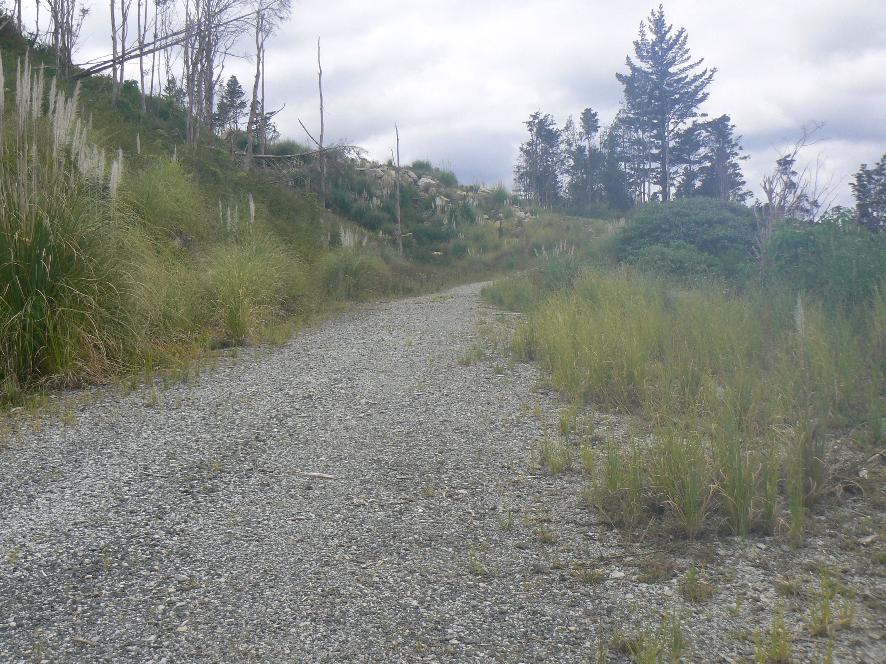 0 Mangatoetoe Road, Kaitaia, Far North District