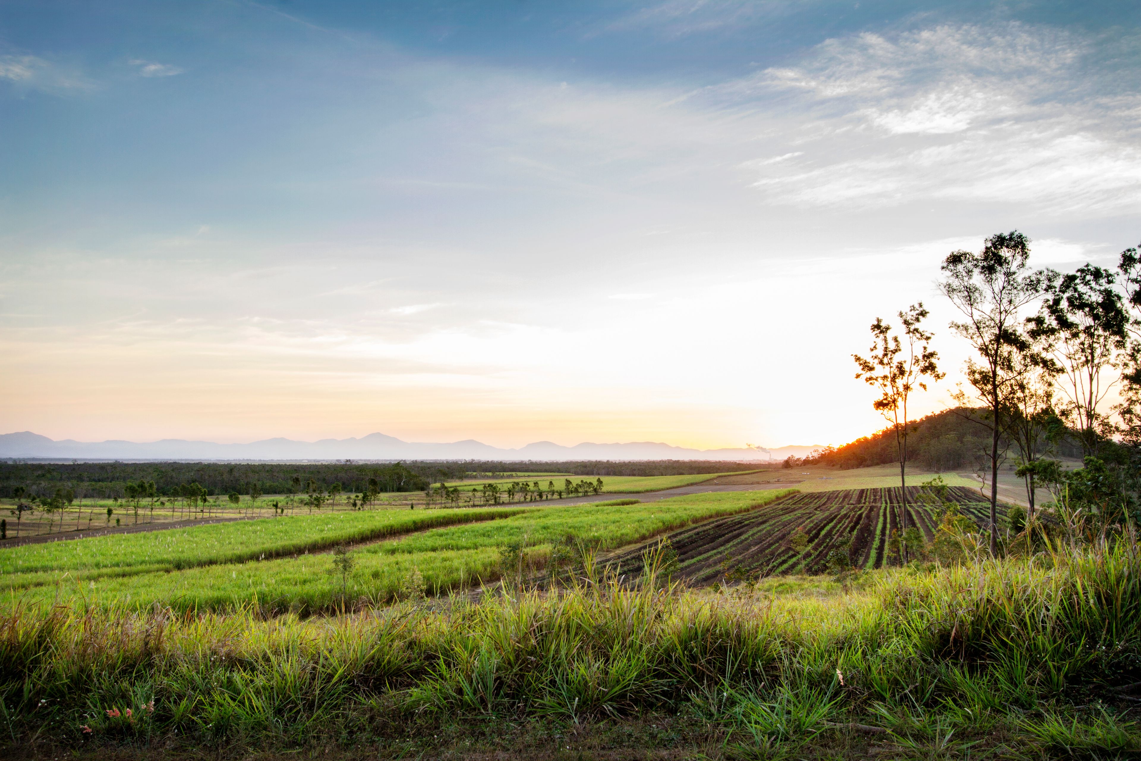 23 Fisher Road, Preston QLD 4800